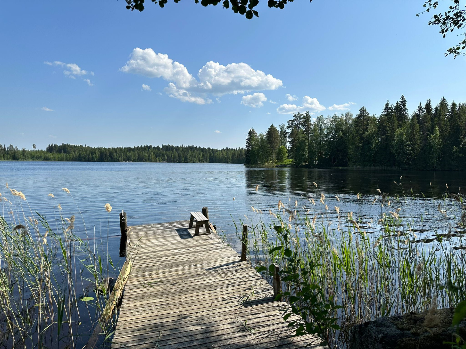 Lehmlahdentie 28, Jäppilä, Pieksämäki