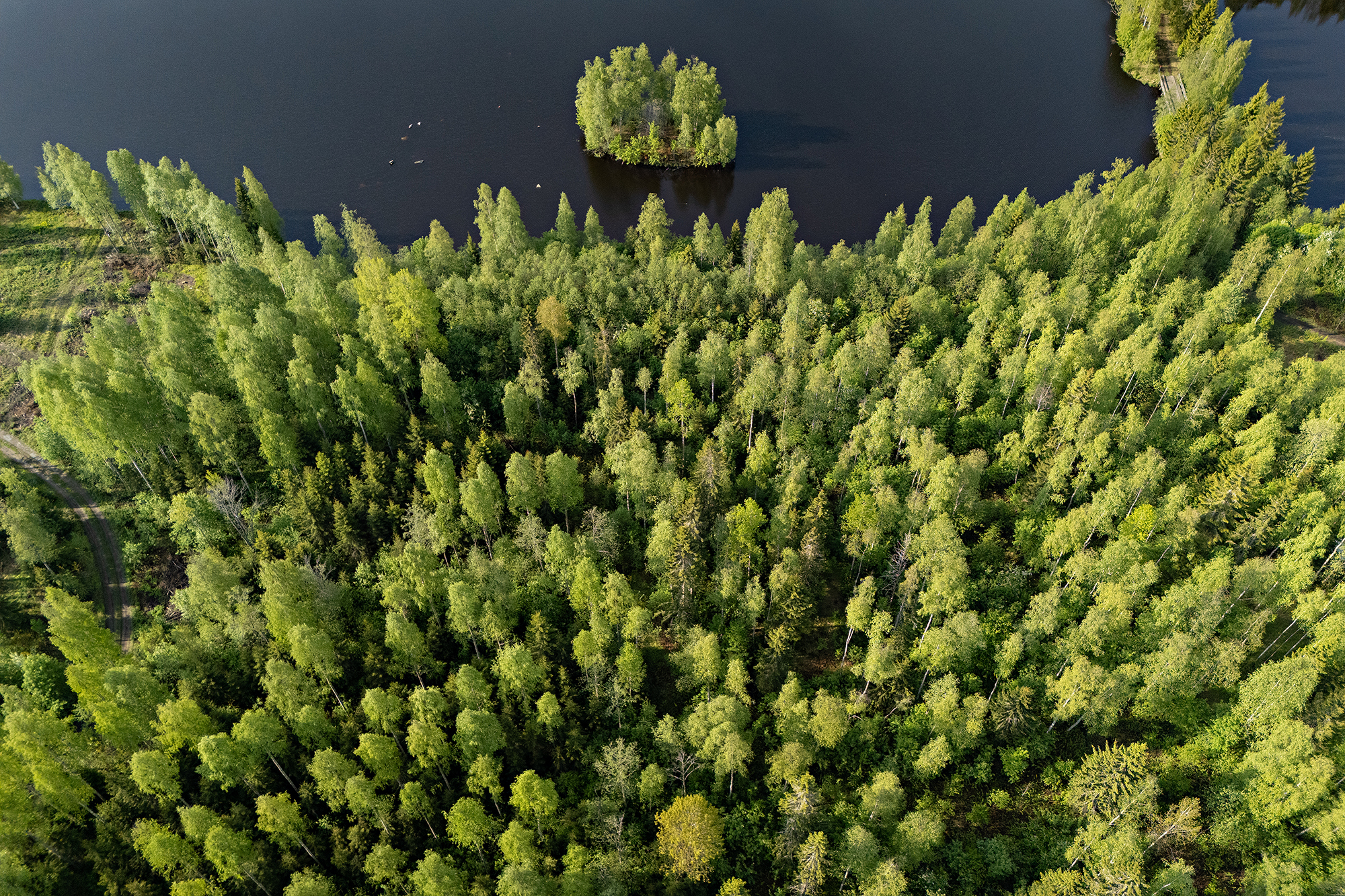 Leppäharjuntie 76, Sotkajärvi, Utajärvi