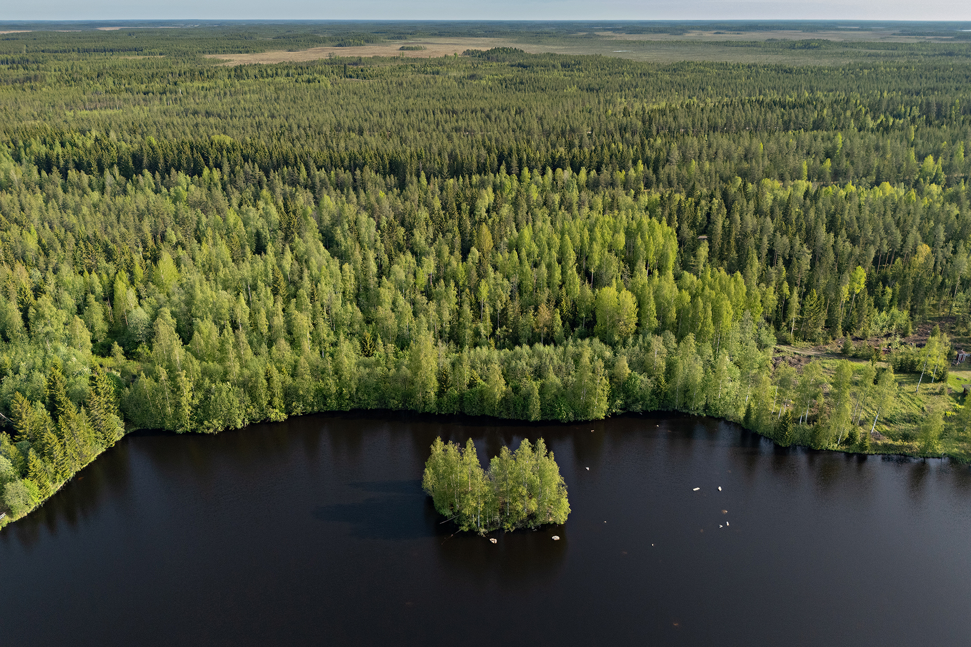 Leppäharjuntie 76, Sotkajärvi, Utajärvi