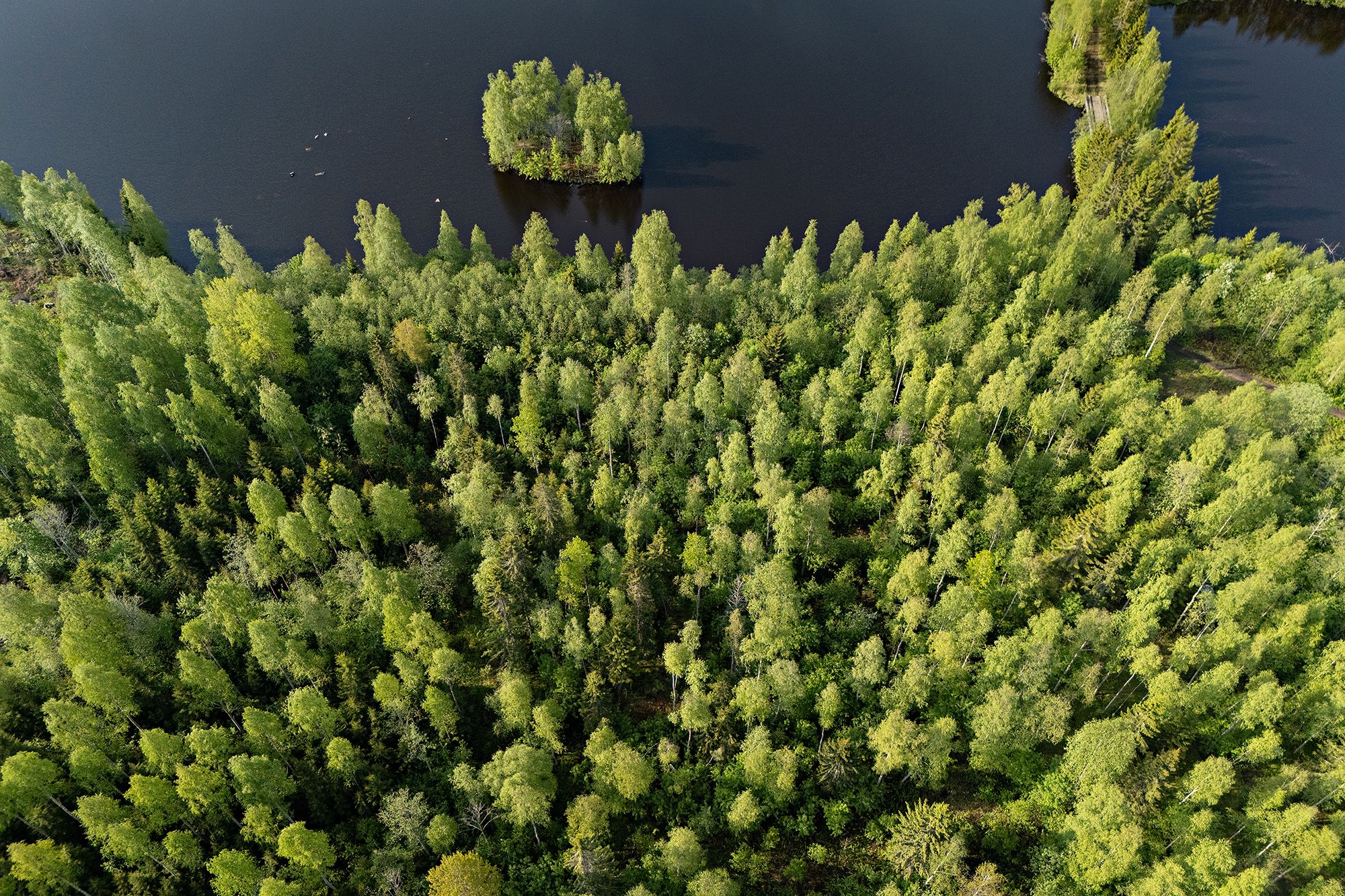 Leppäharjuntie 74, Sotkajärvi, Utajärvi