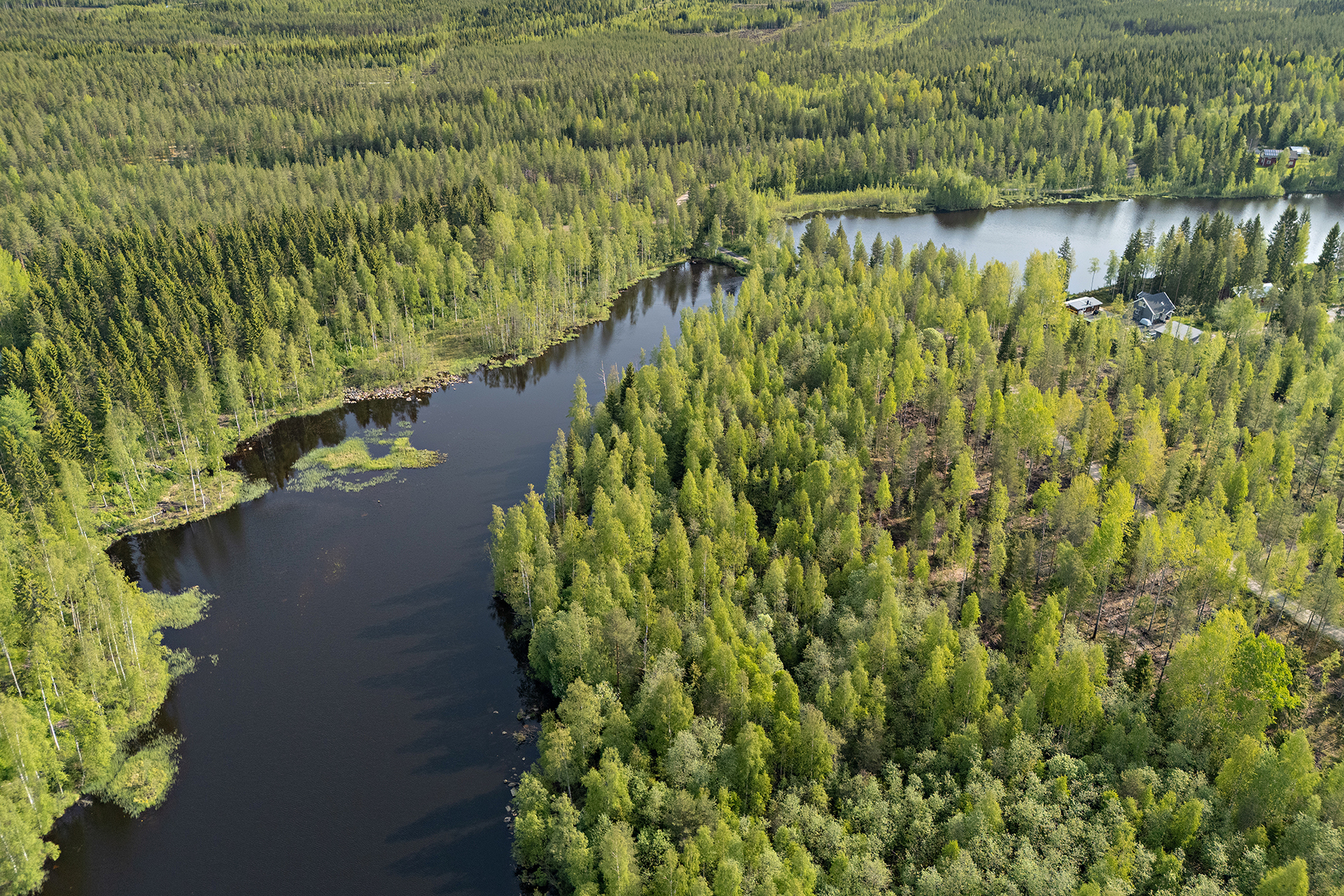 Saviniementie 123, Sotkajärvi, Utajärvi