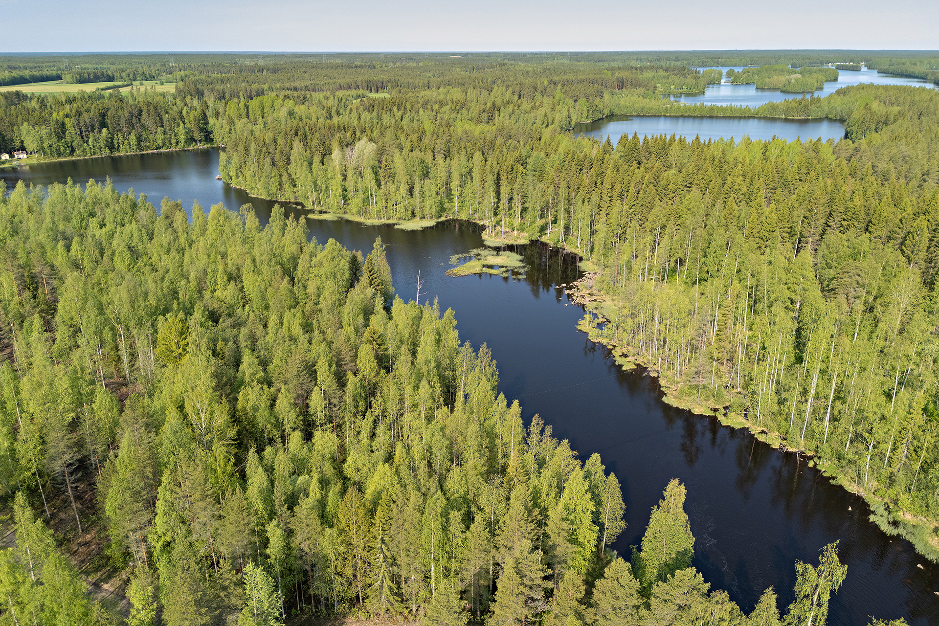 Saviniementie 123, Sotkajärvi, Utajärvi