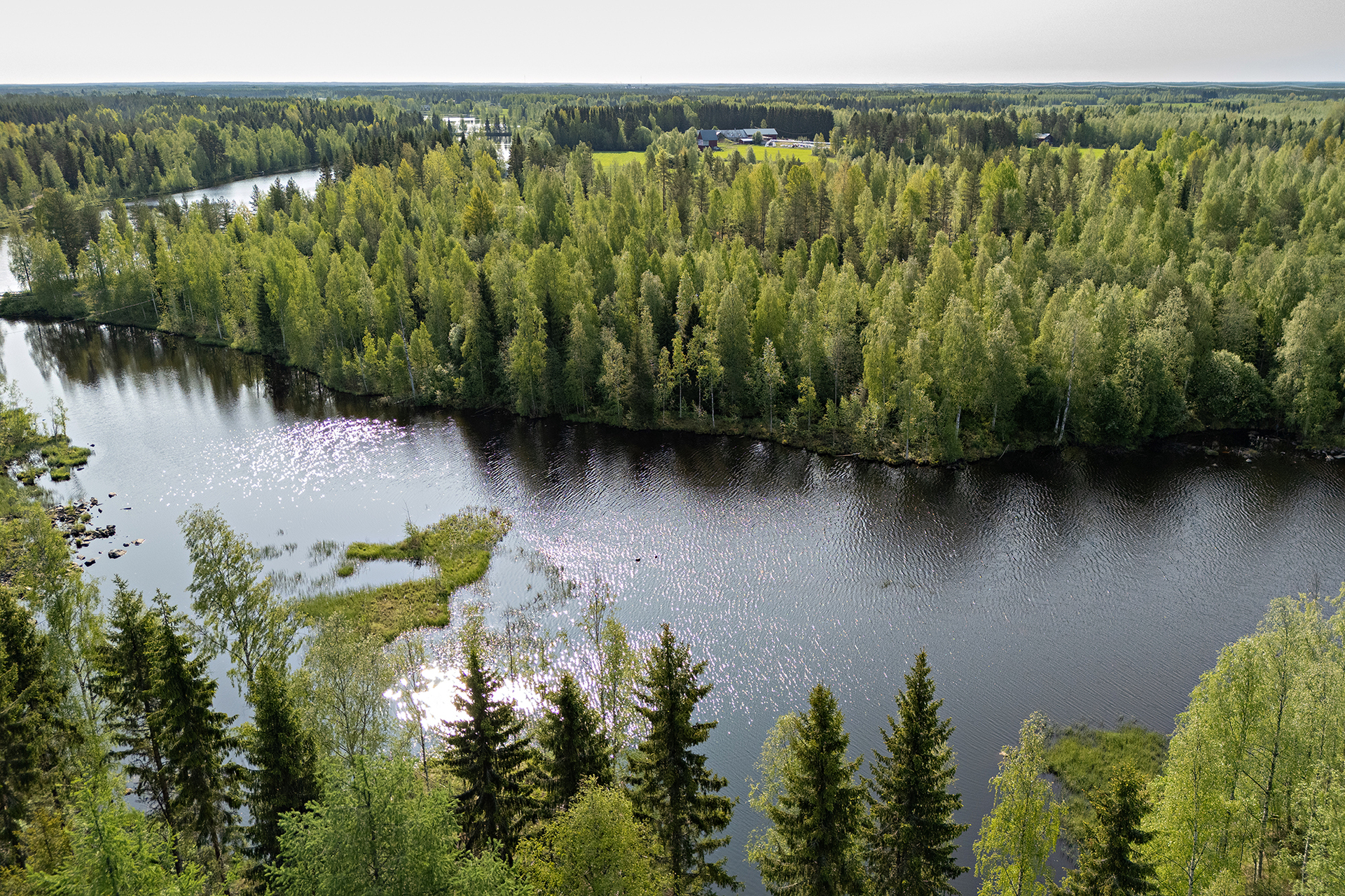 Saviniementie 123, Sotkajärvi, Utajärvi