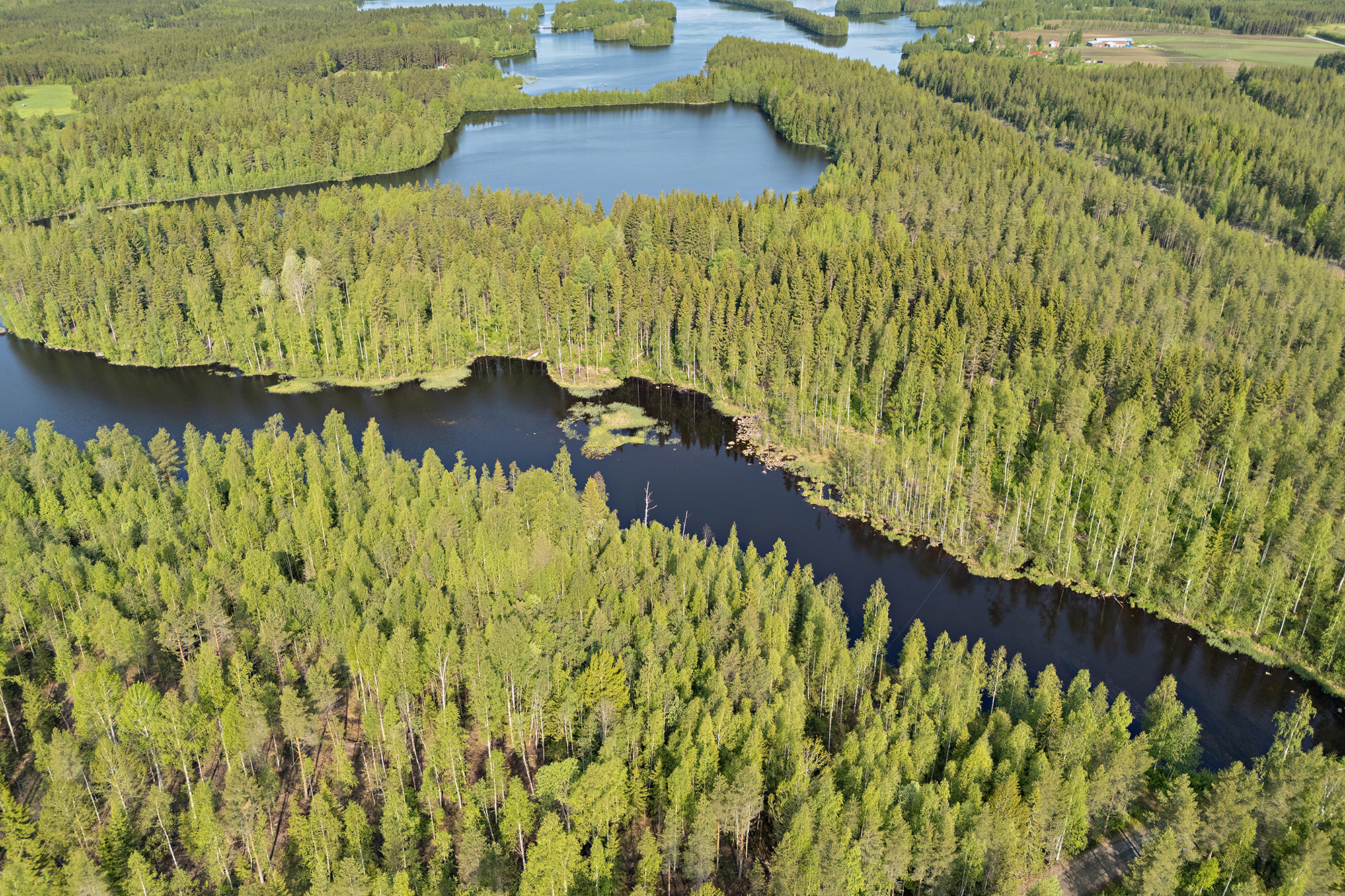 Saviniementie 125, Sotkajärvi, Utajärvi