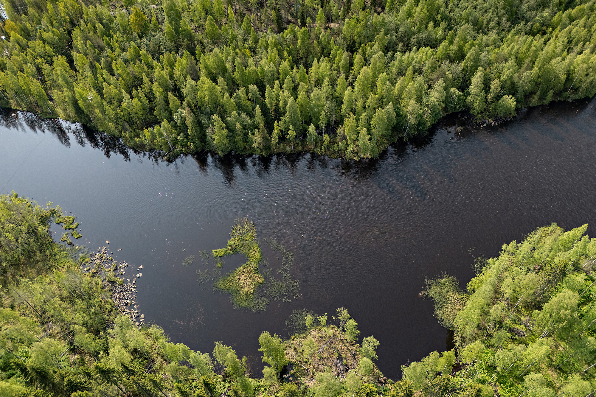 Saviniementie 125, Sotkajärvi, Utajärvi