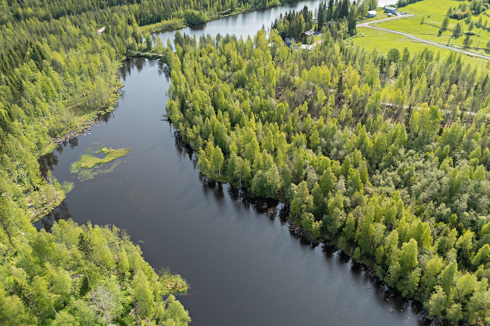 Saviniementie 125, Sotkajärvi, Utajärvi