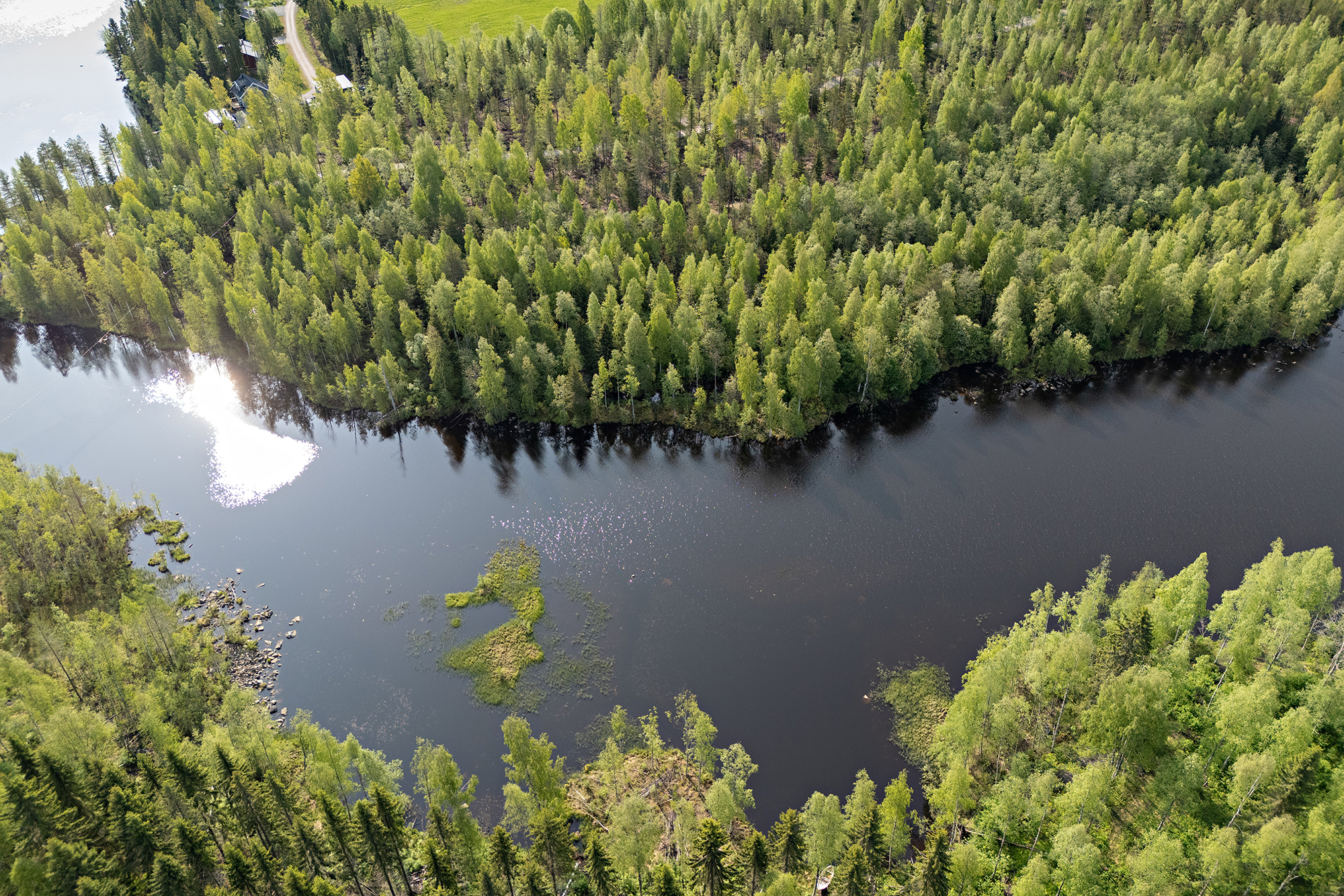 Saviniementie 125, Sotkajärvi, Utajärvi