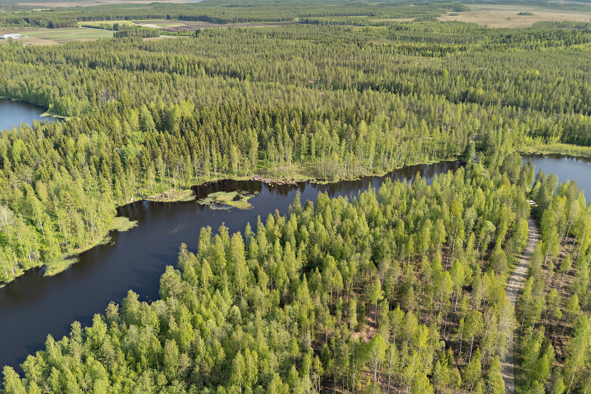 Saviniementie 125, Sotkajärvi, Utajärvi