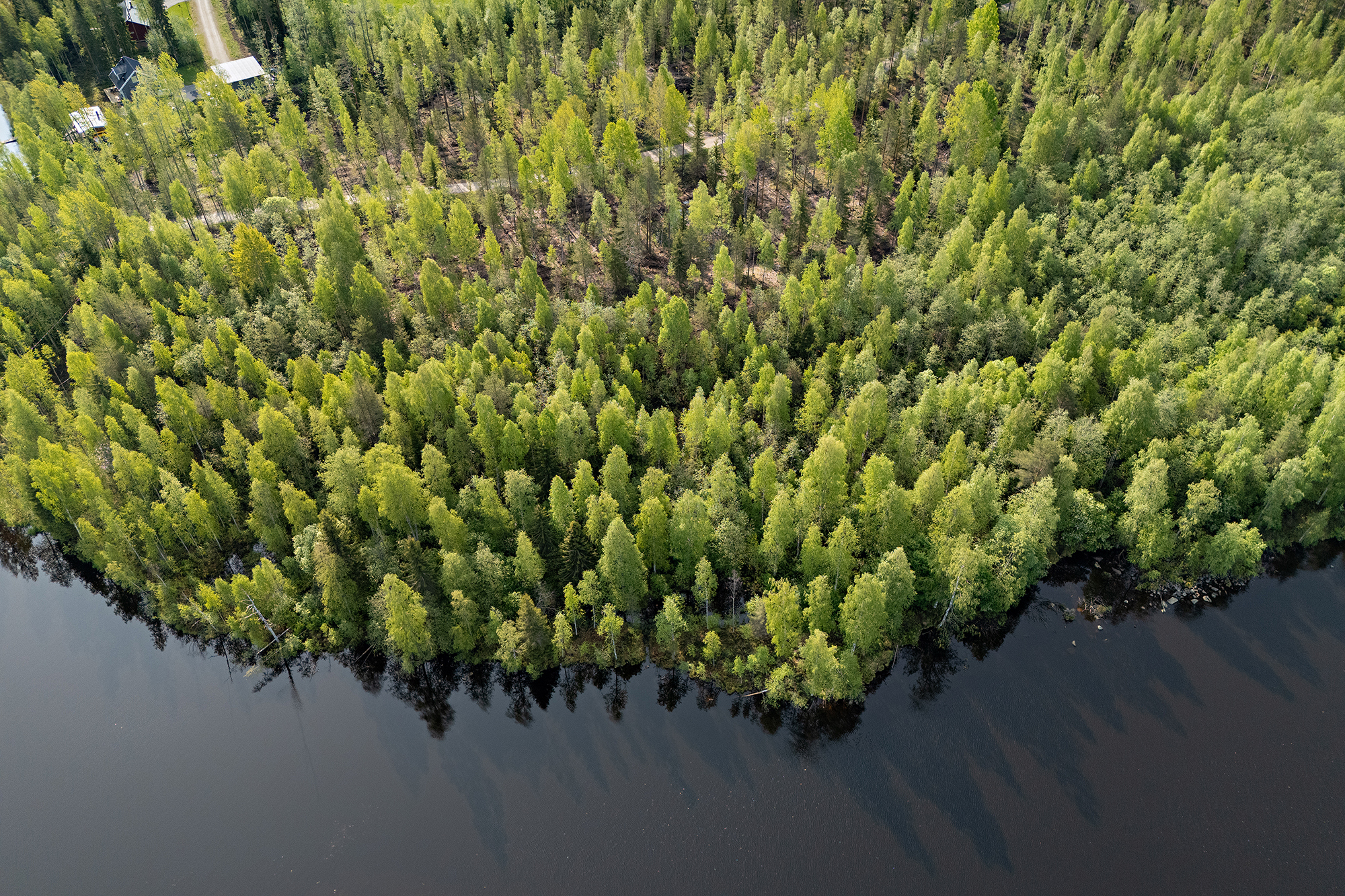 Saviniementie 125, Sotkajärvi, Utajärvi