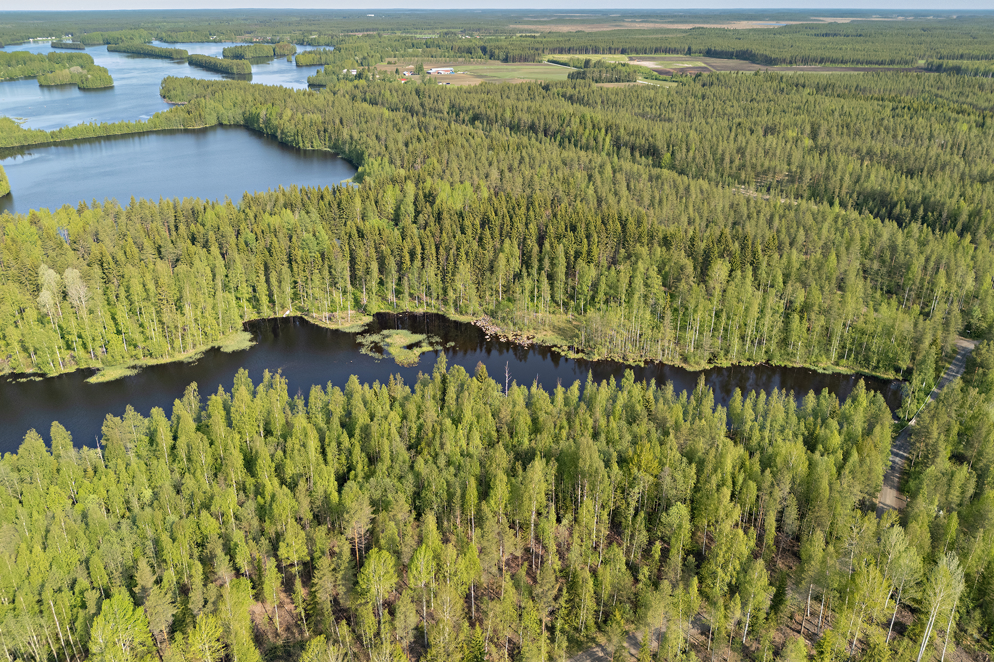 Saviniementie 127, Sotkajärvi, Utajärvi