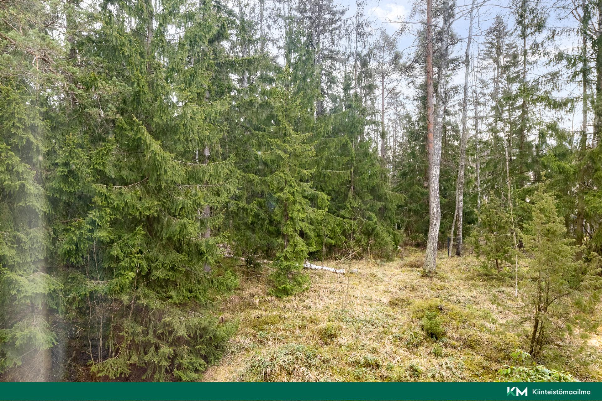 Näkymää ikkunoista