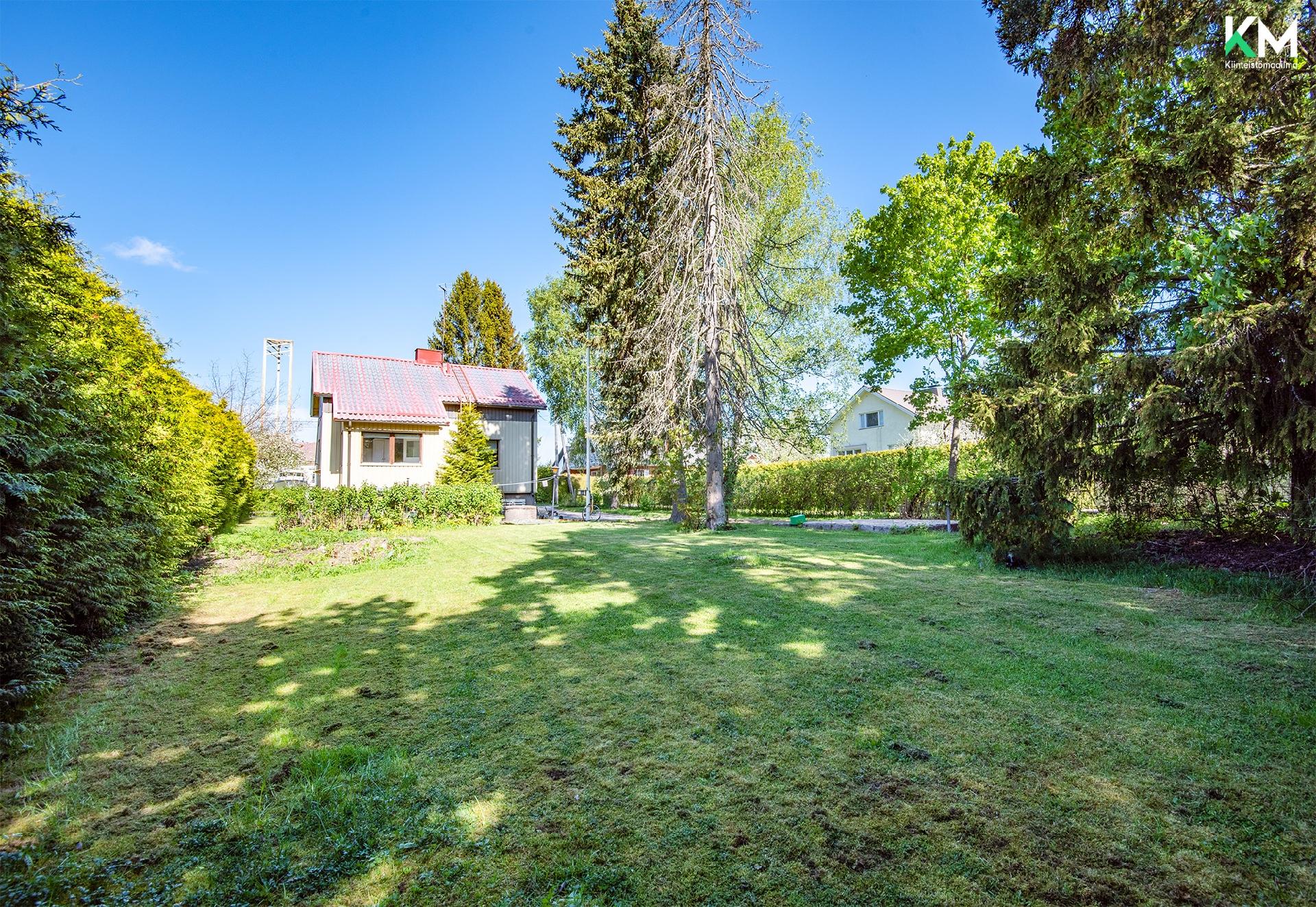 Piha tontin perältä kuvattuna