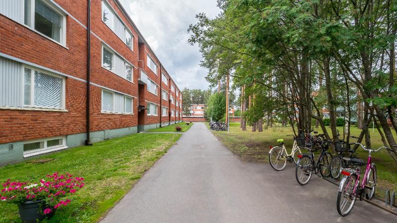 Varpushaukantie 4, Kaukovainio, Oulu