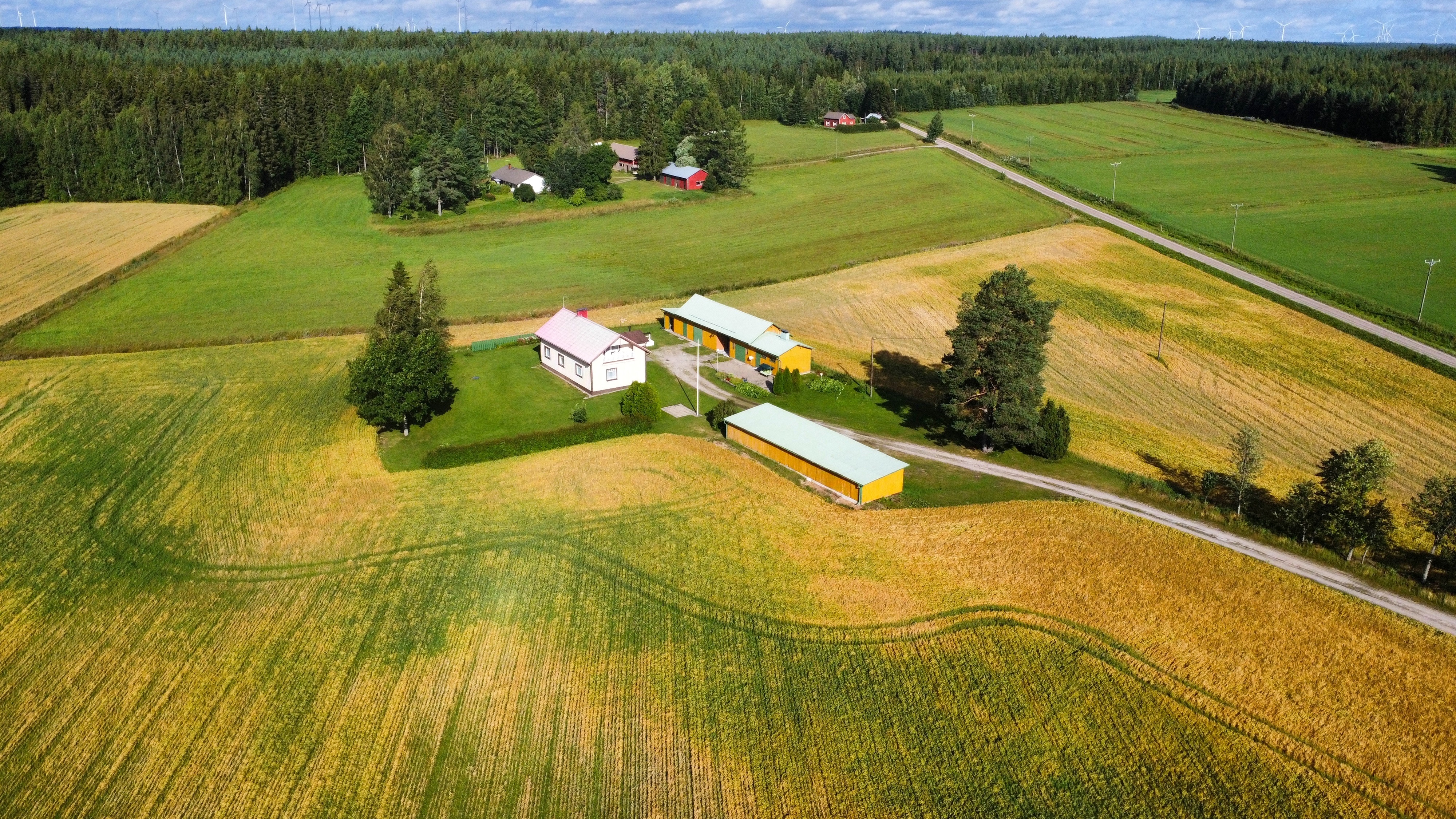 Niinistöntie 80, Juonenkylä, Kurikka