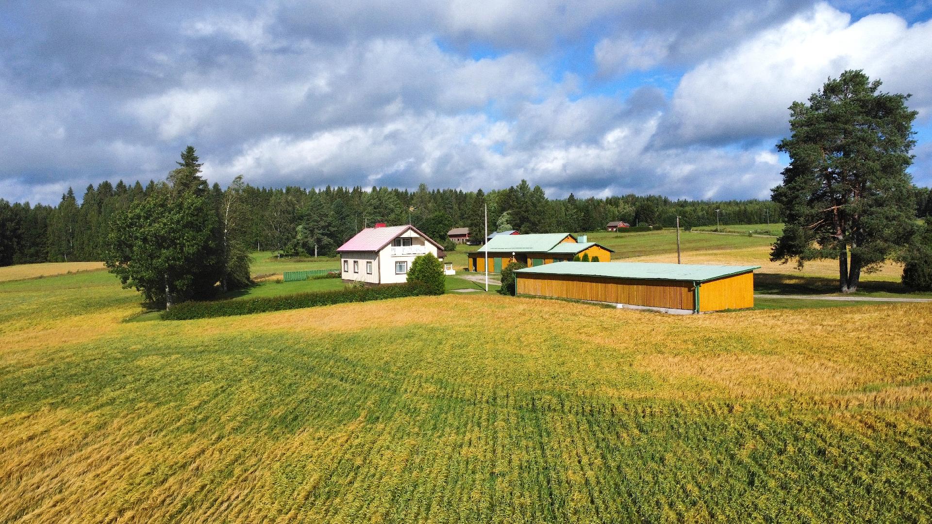 Niinistöntie 80, Juonenkylä, Kurikka