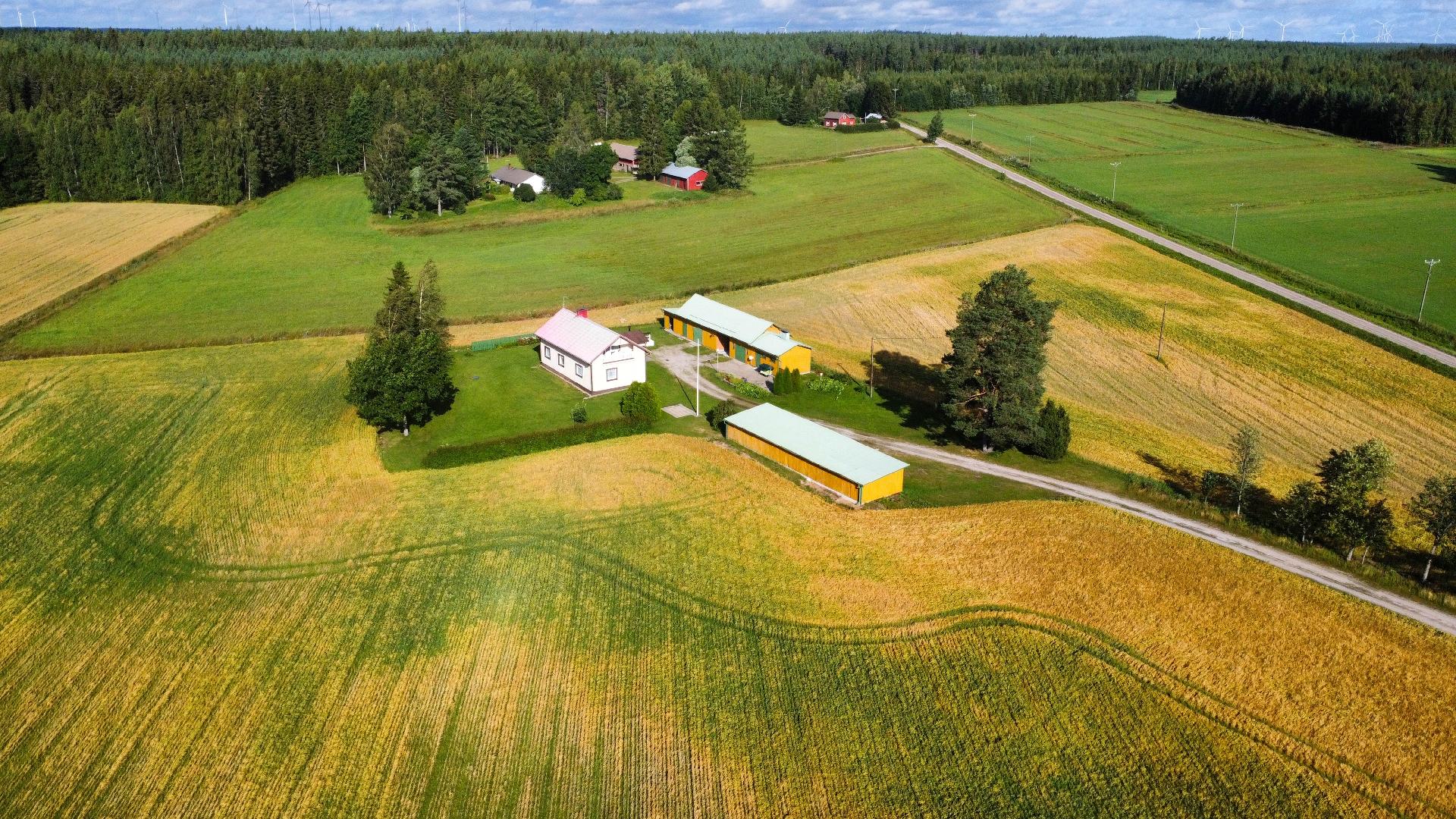 Niinistöntie 80, Juonenkylä, Kurikka