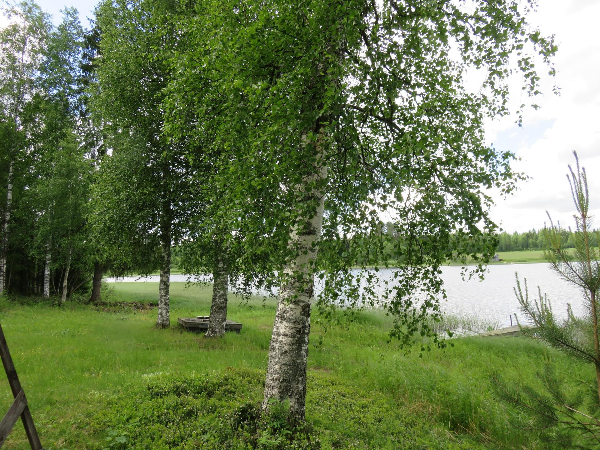 Polvijärventie 35, Koivumäki, Siilinjärvi