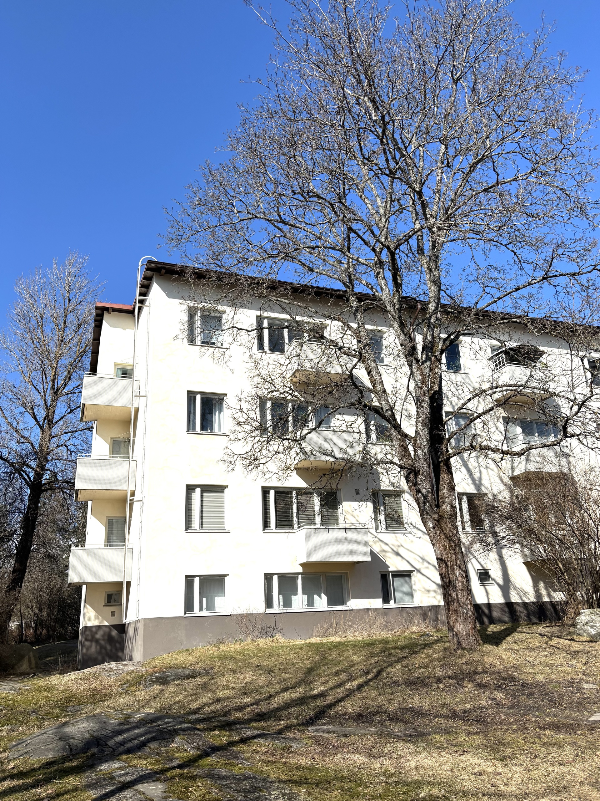 Huoneiston ulkopuolella kasvaa iso vaahtera, kaunis ympäri vuoden