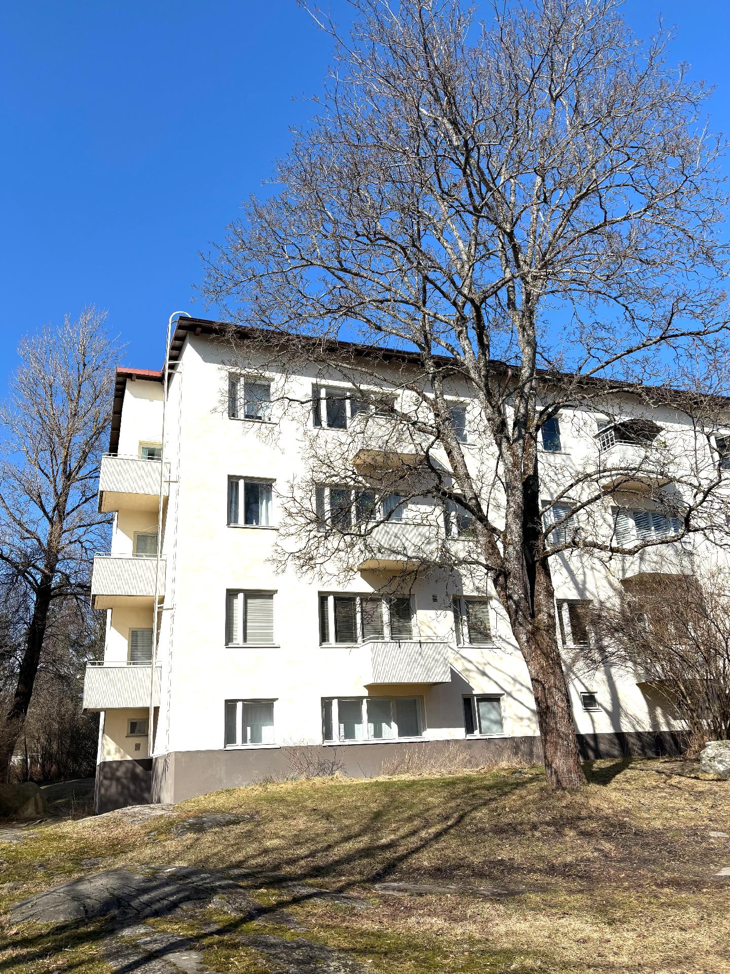 Huoneiston ulkopuolella kasvaa iso vaahtera, kaunis ympäri vuoden