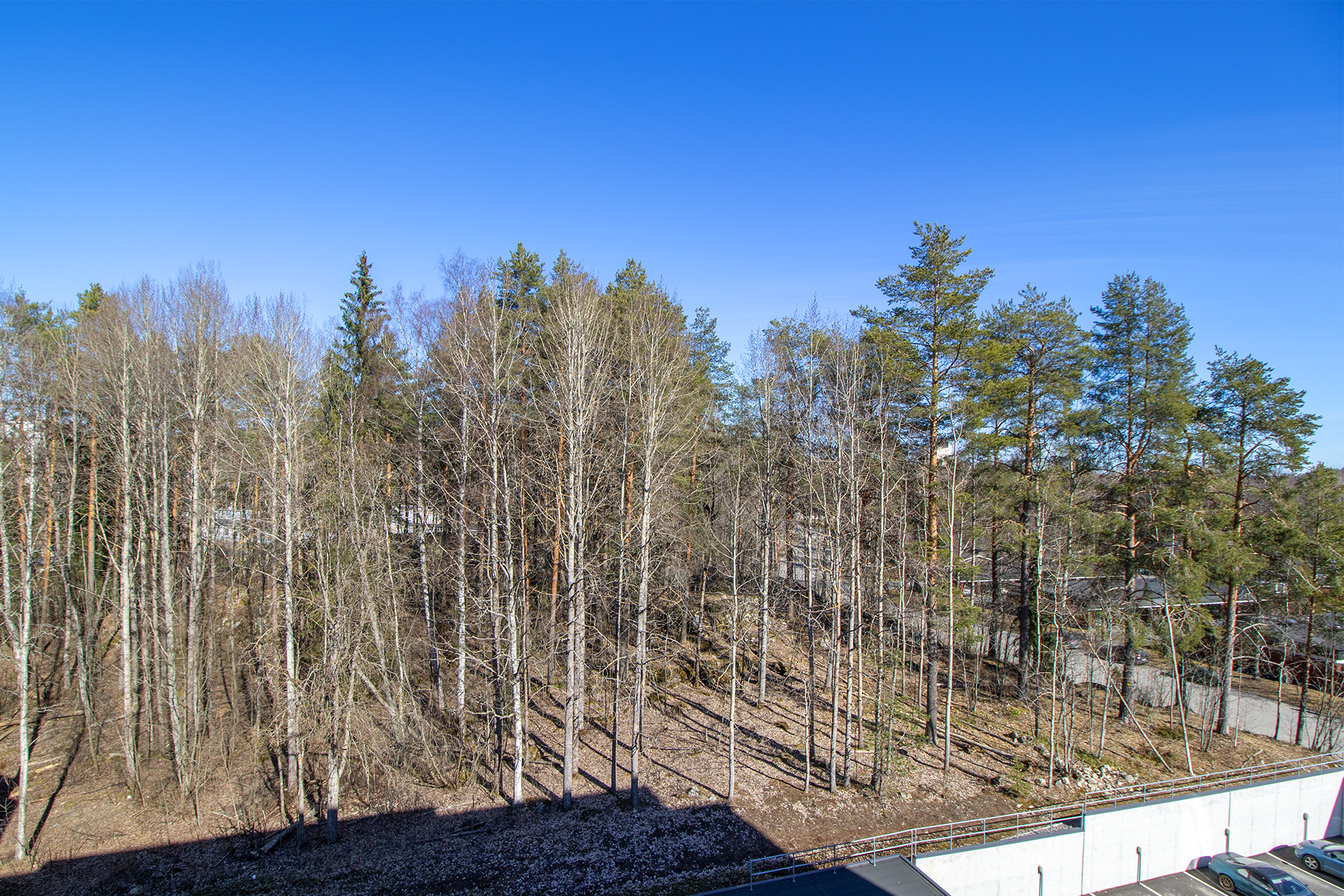 Lohkaretie 21, Särkiniemi, Kuopio