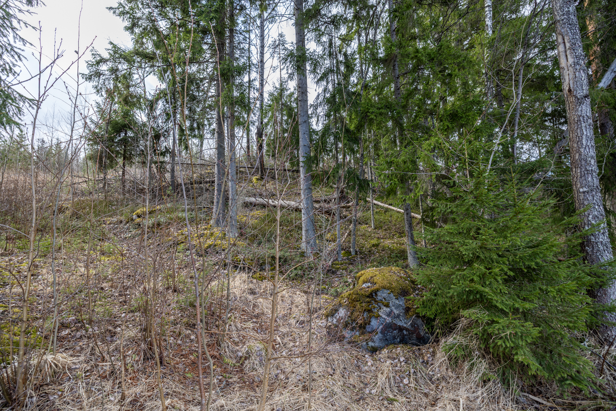 Syväkaarre 3, Helppanala, Mikkeli