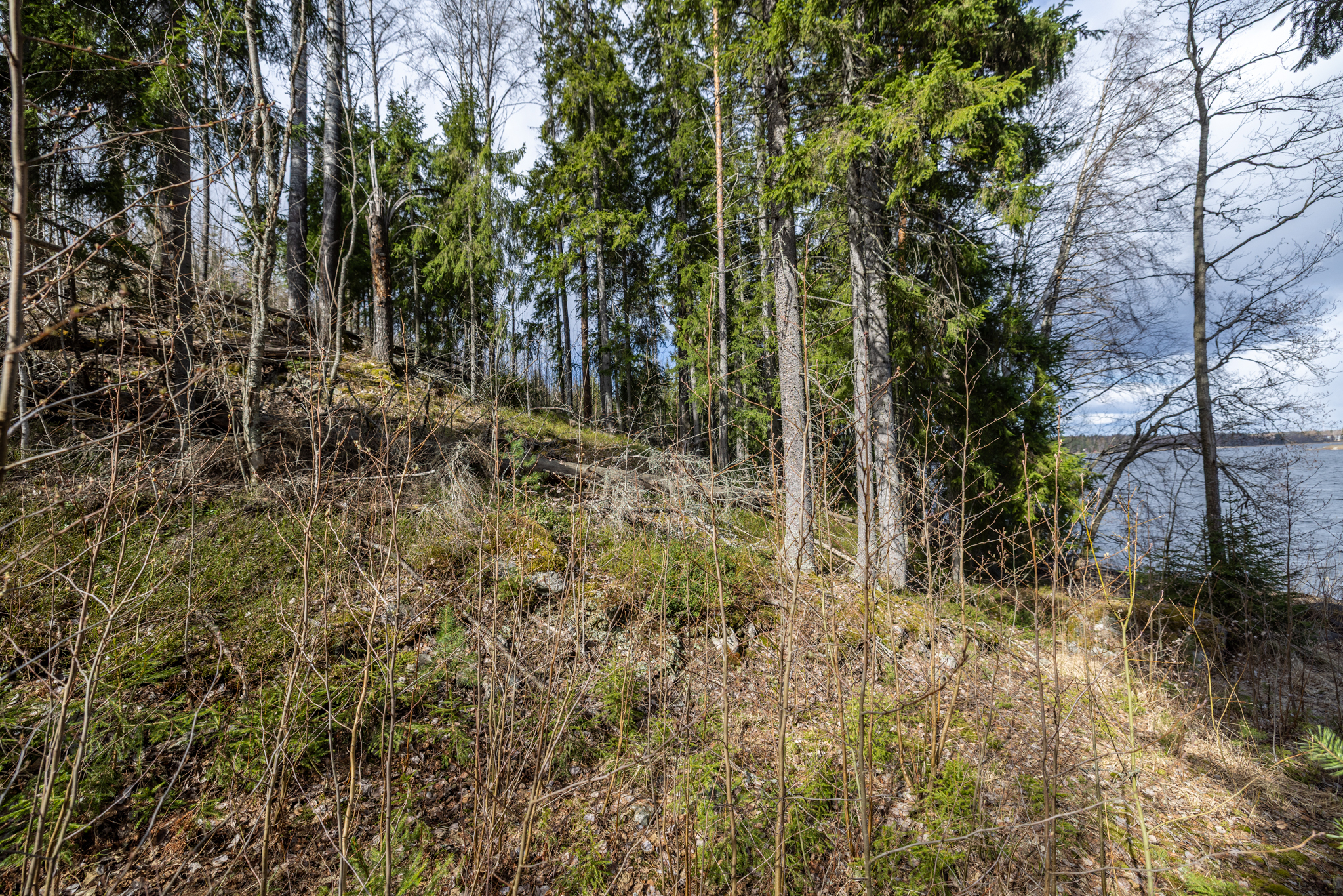 Syväkaarre 3, Helppanala, Mikkeli
