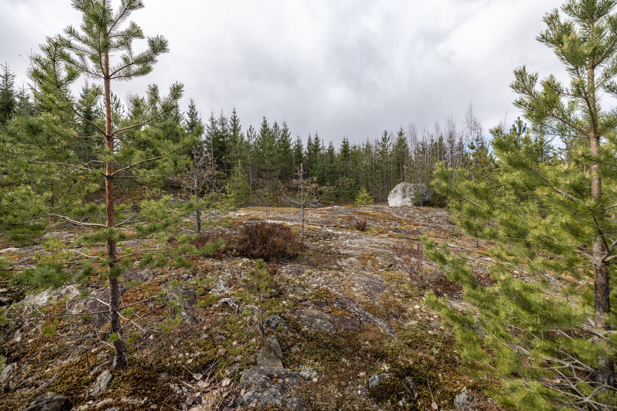 Syväkaarre 3, Helppanala, Mikkeli