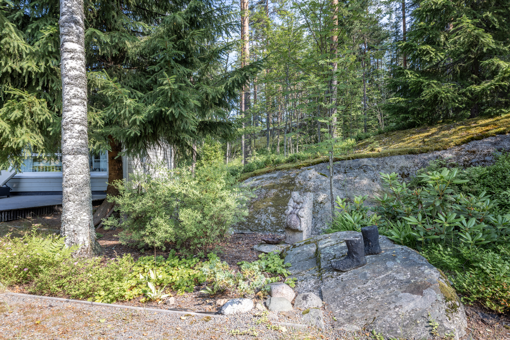kasvimaa