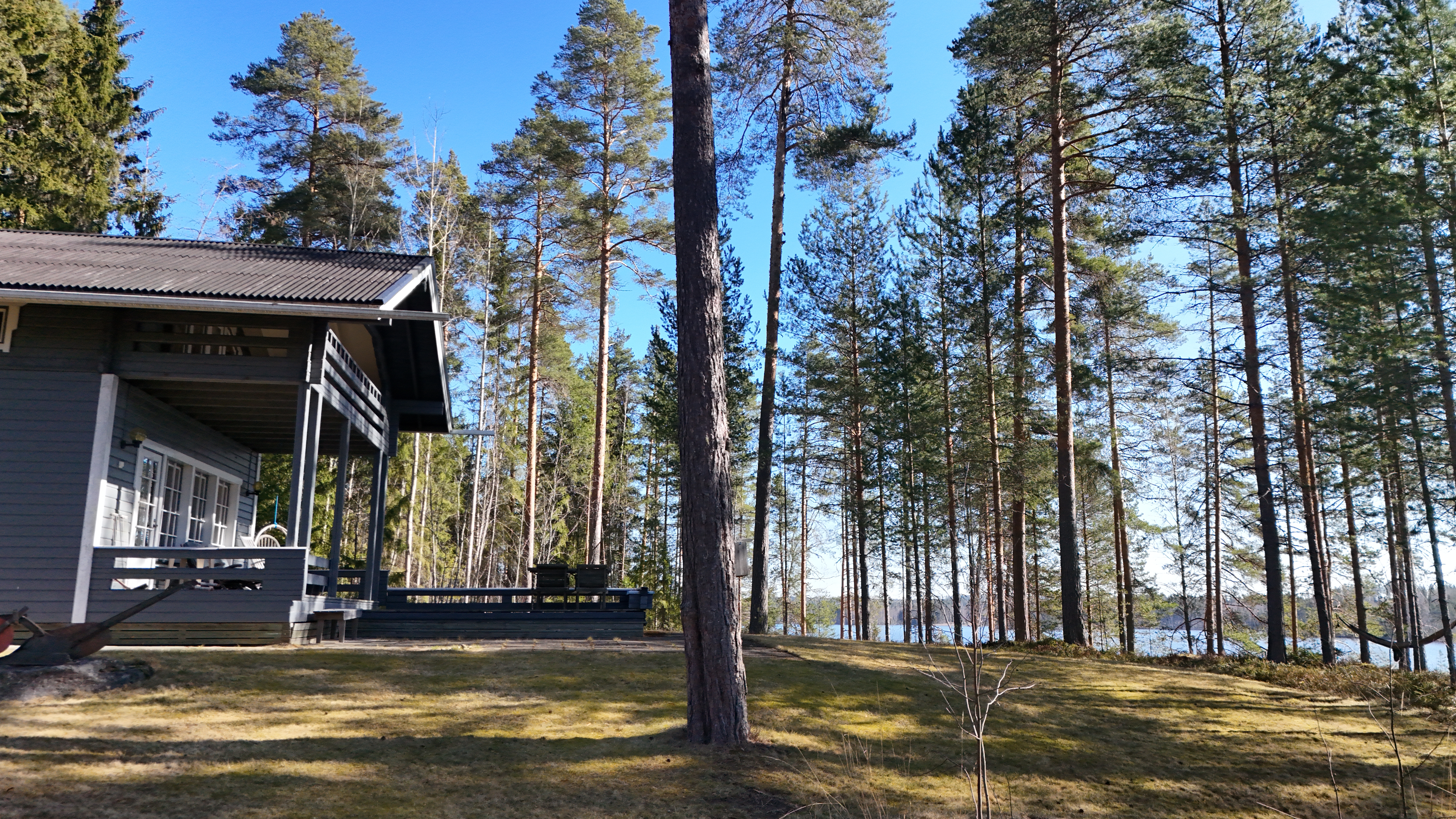 Lokkiseläntie 53, Riihiranta, Leppävirta