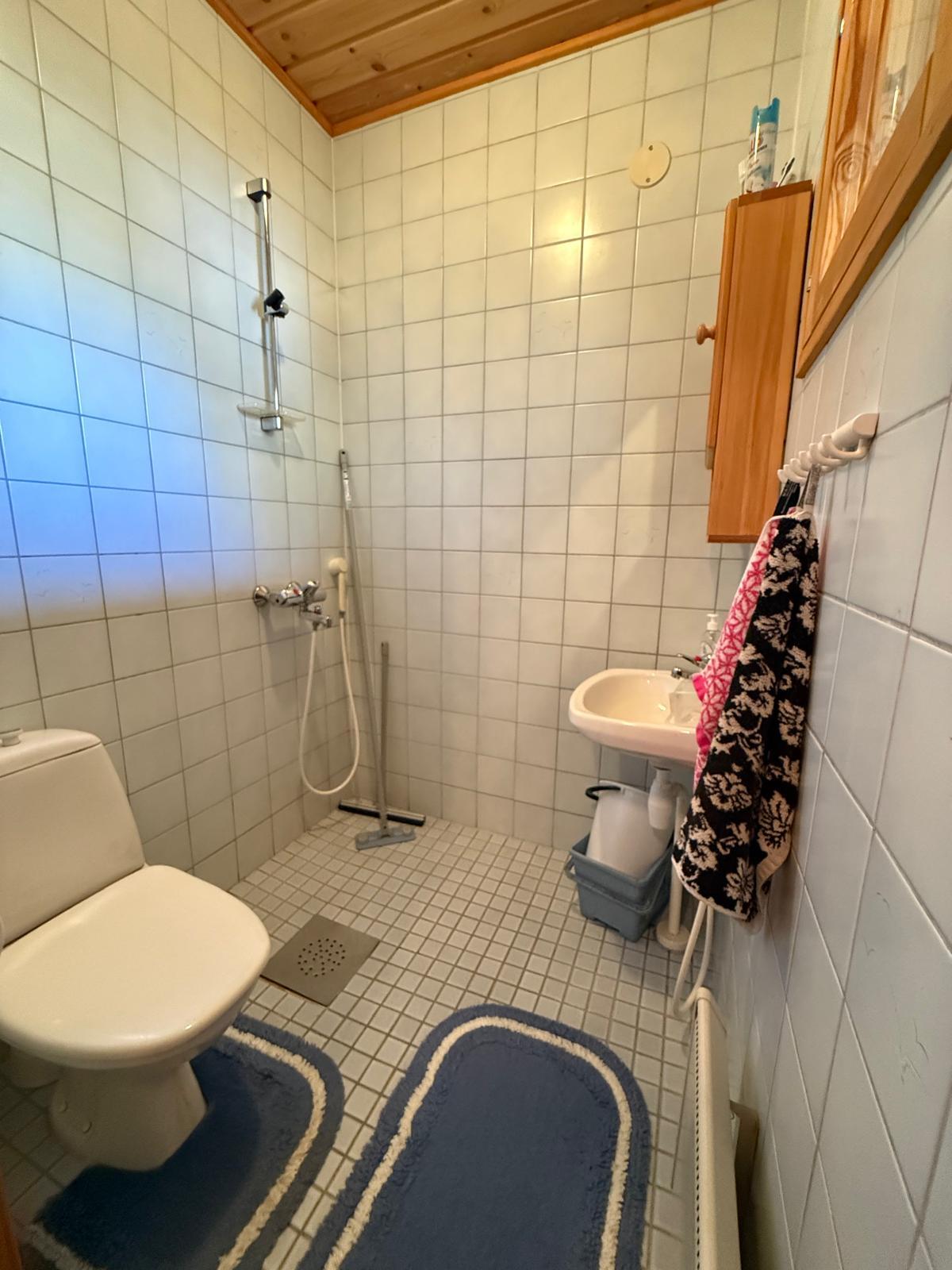 Lokkiseläntie 53, Riihiranta, Leppävirta