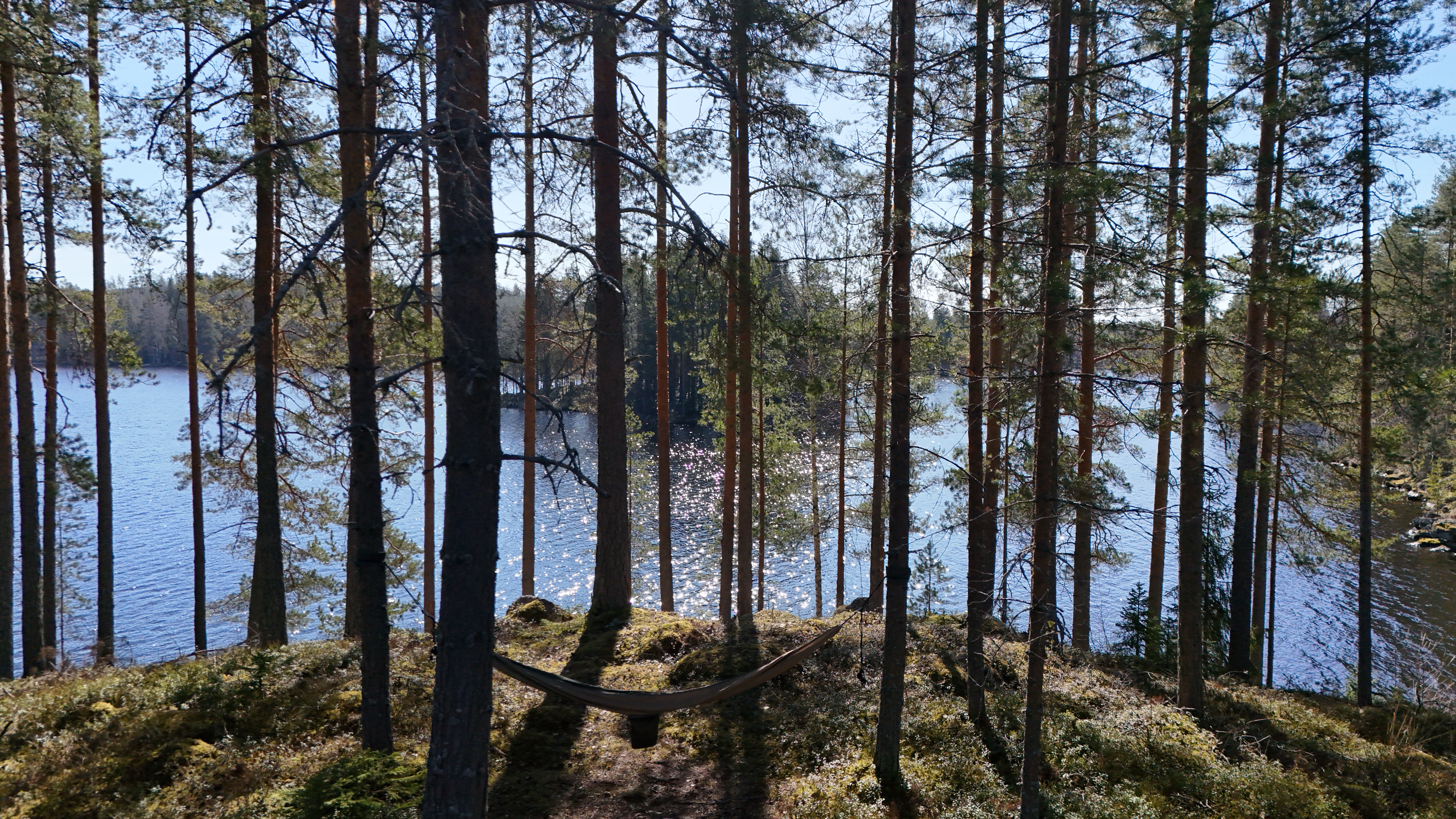 Lokkiseläntie 53, Riihiranta, Leppävirta