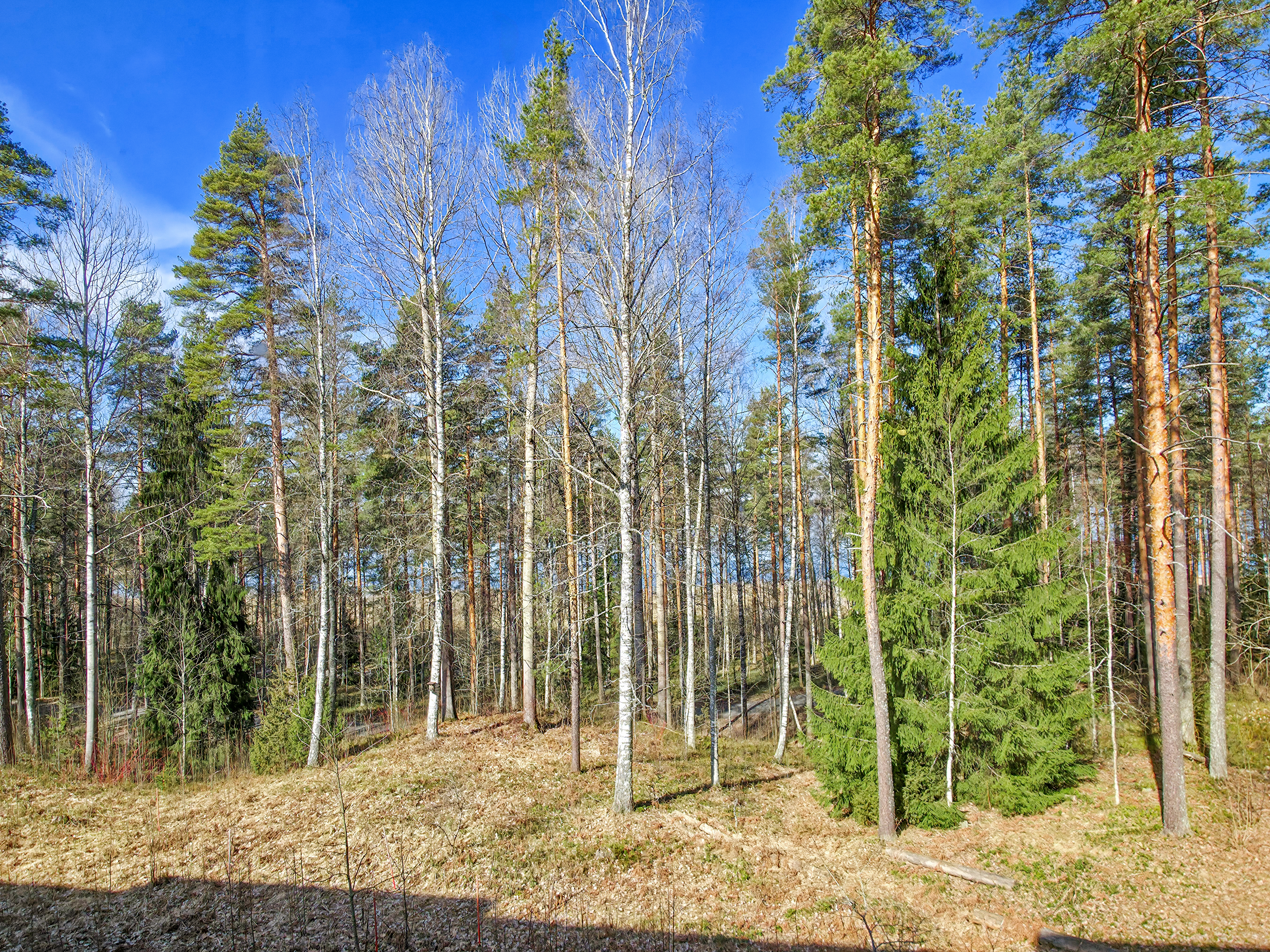 Koverinkatu 4, Kuusimäki, Lappeenranta