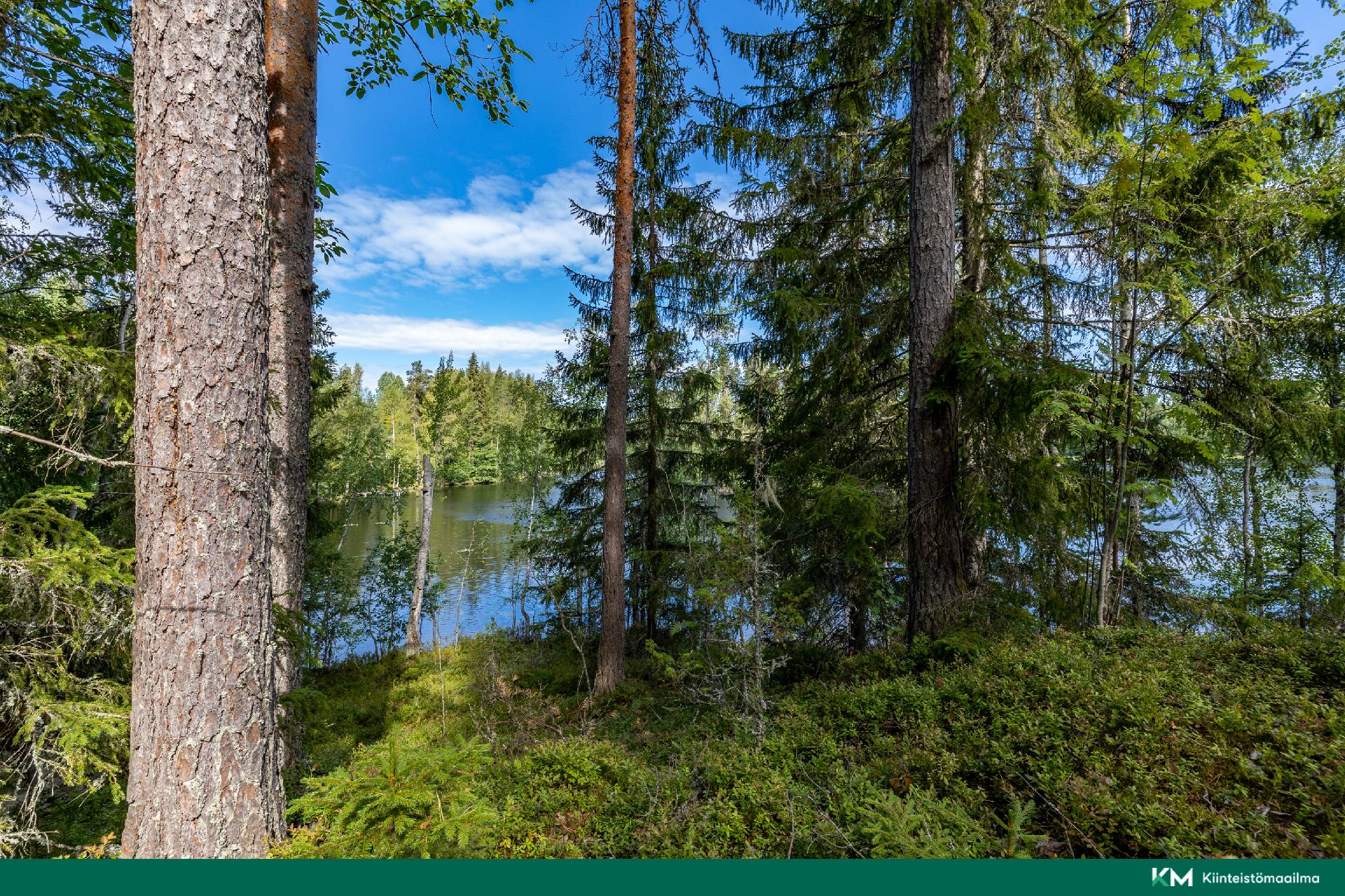 Paunintie 400, Hirvensalmi