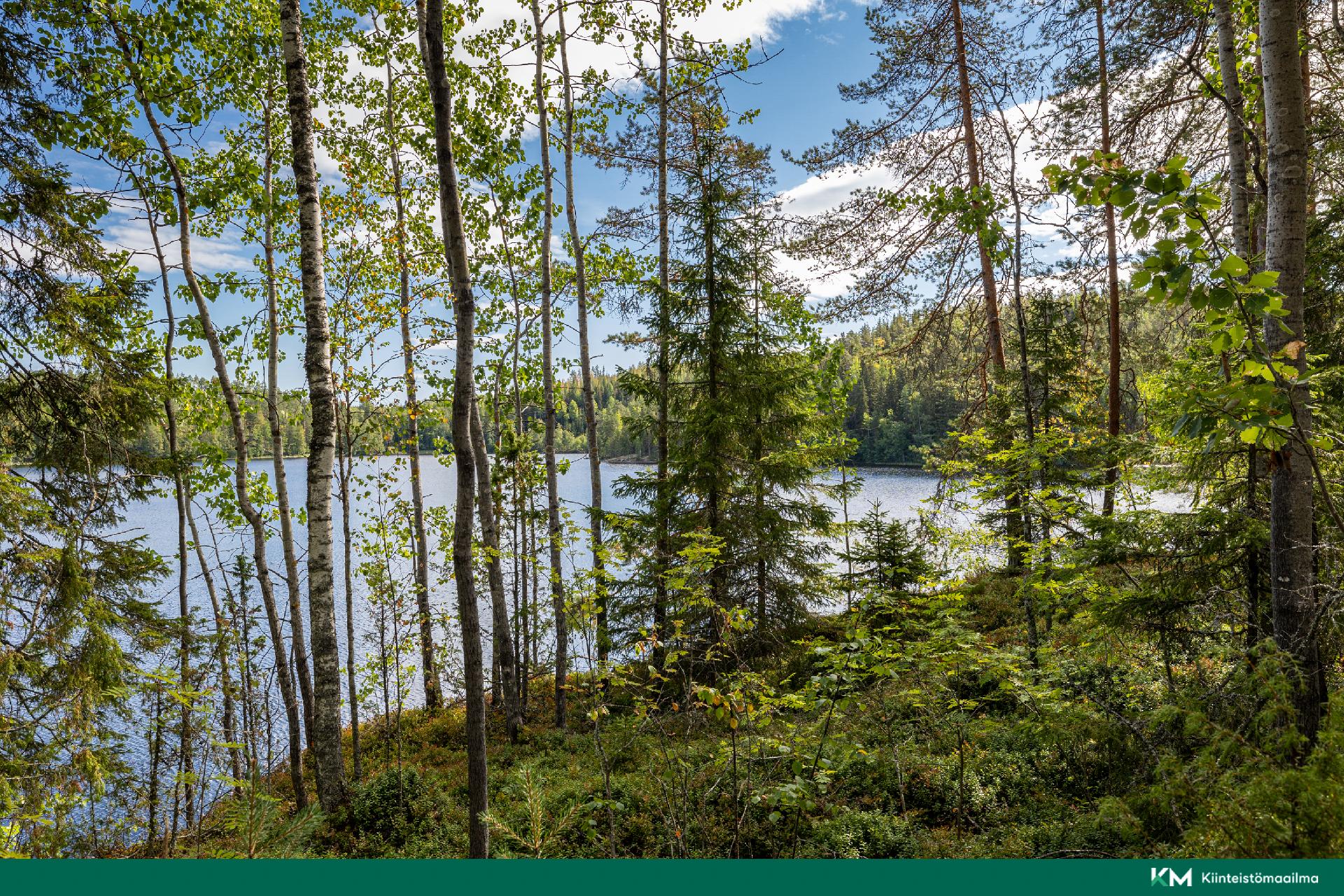 Paunintie 400, Hirvensalmi