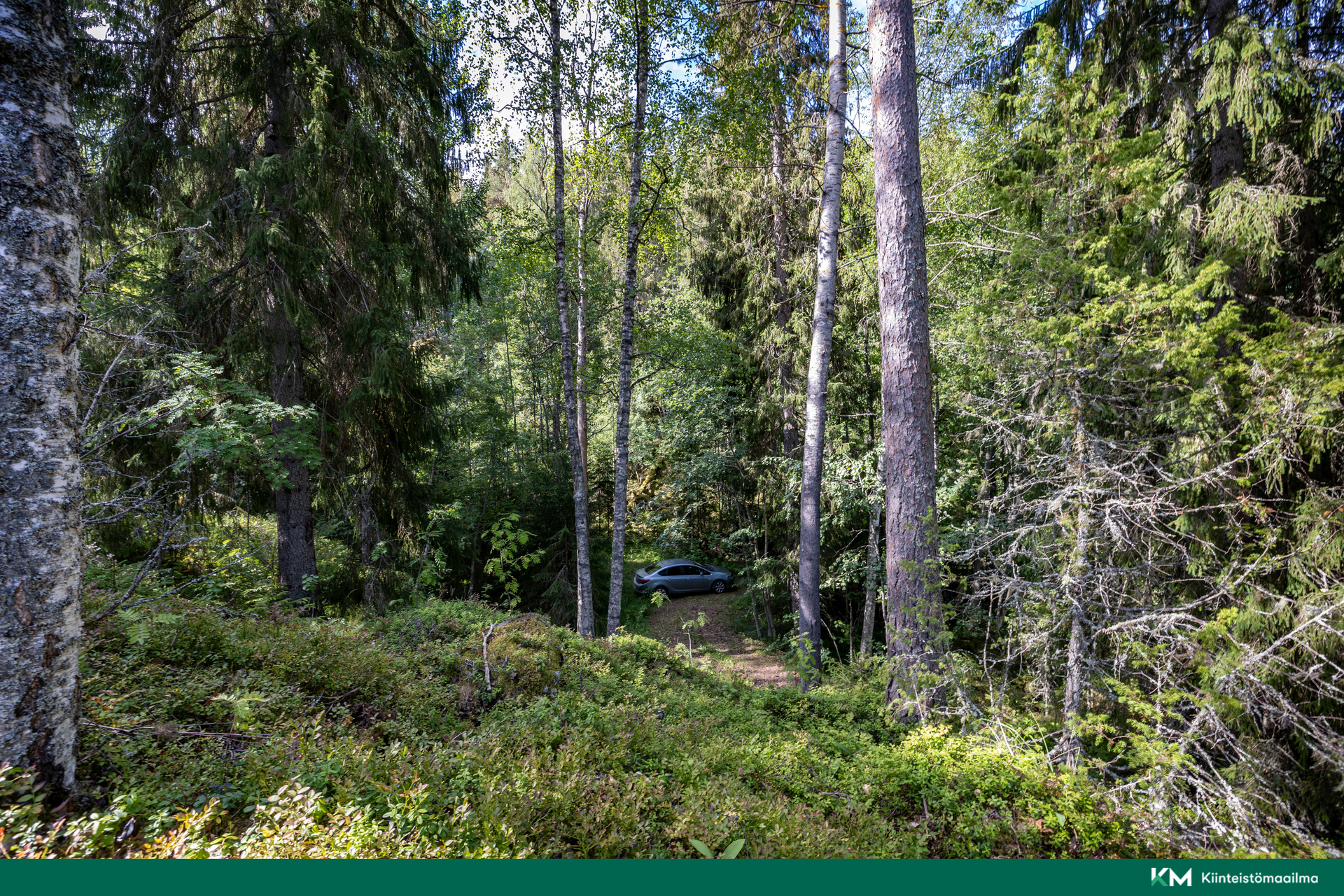 Paunintie 400, Hirvensalmi