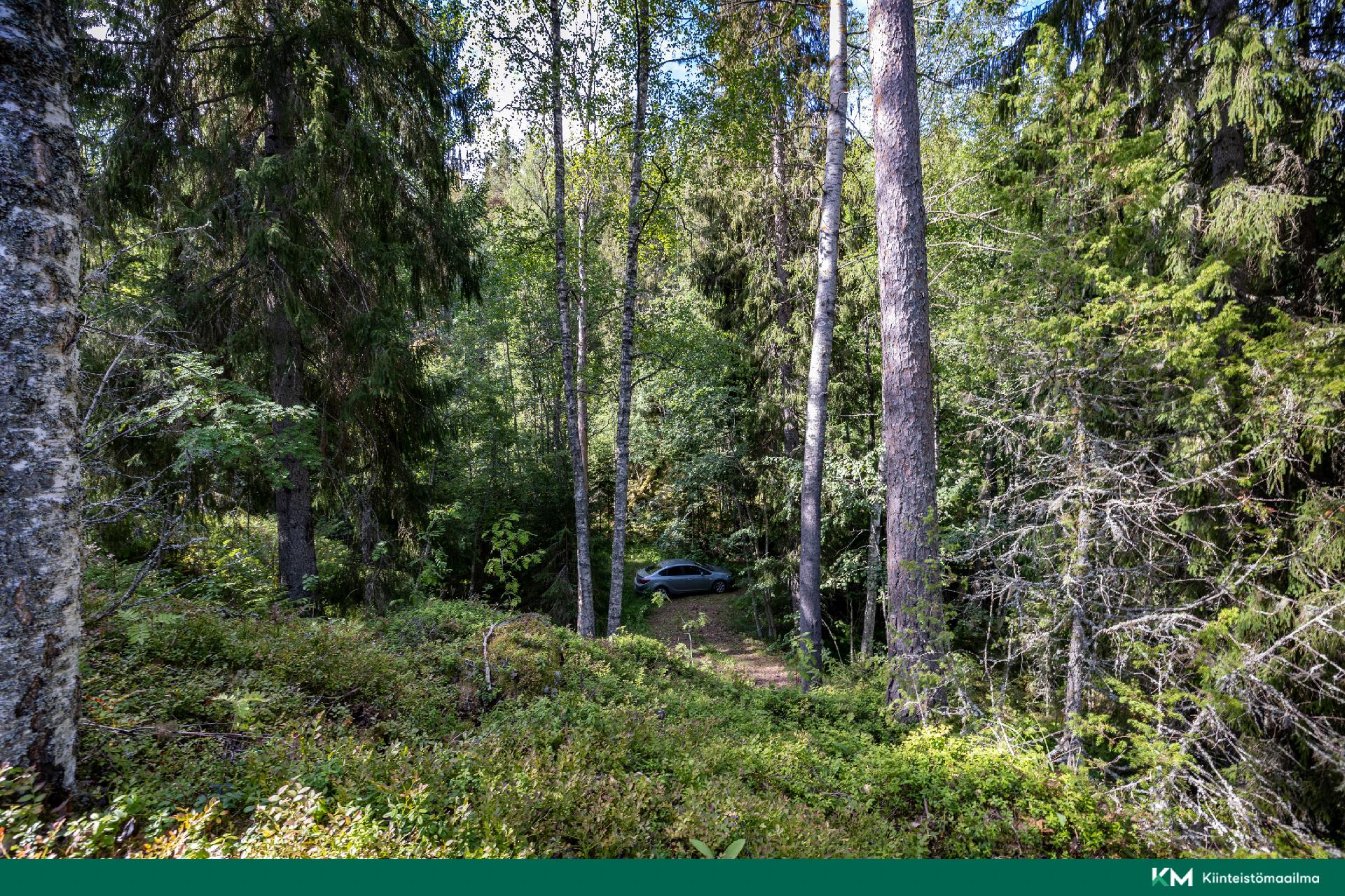 Paunintie 400, Hirvensalmi