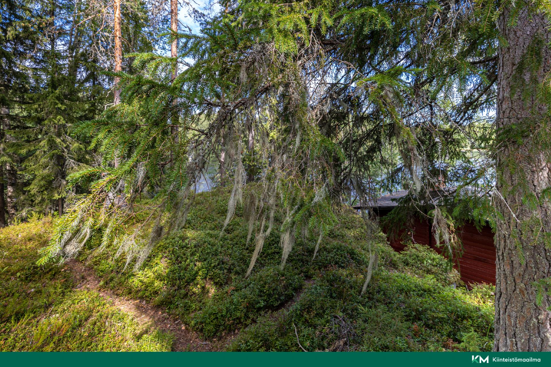 Paunintie 400, Hirvensalmi