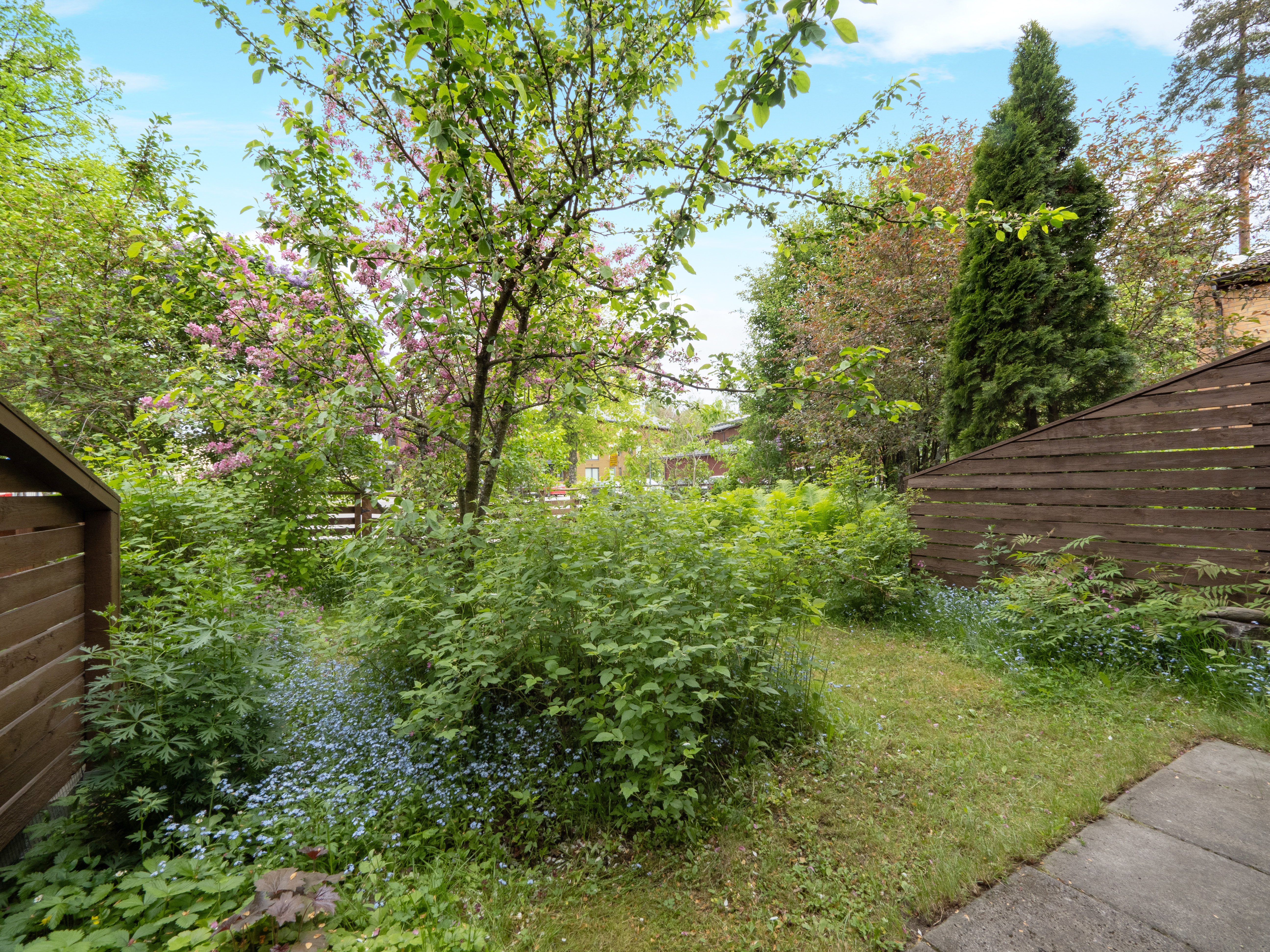 Leilitie 3, Noljakka, Joensuu