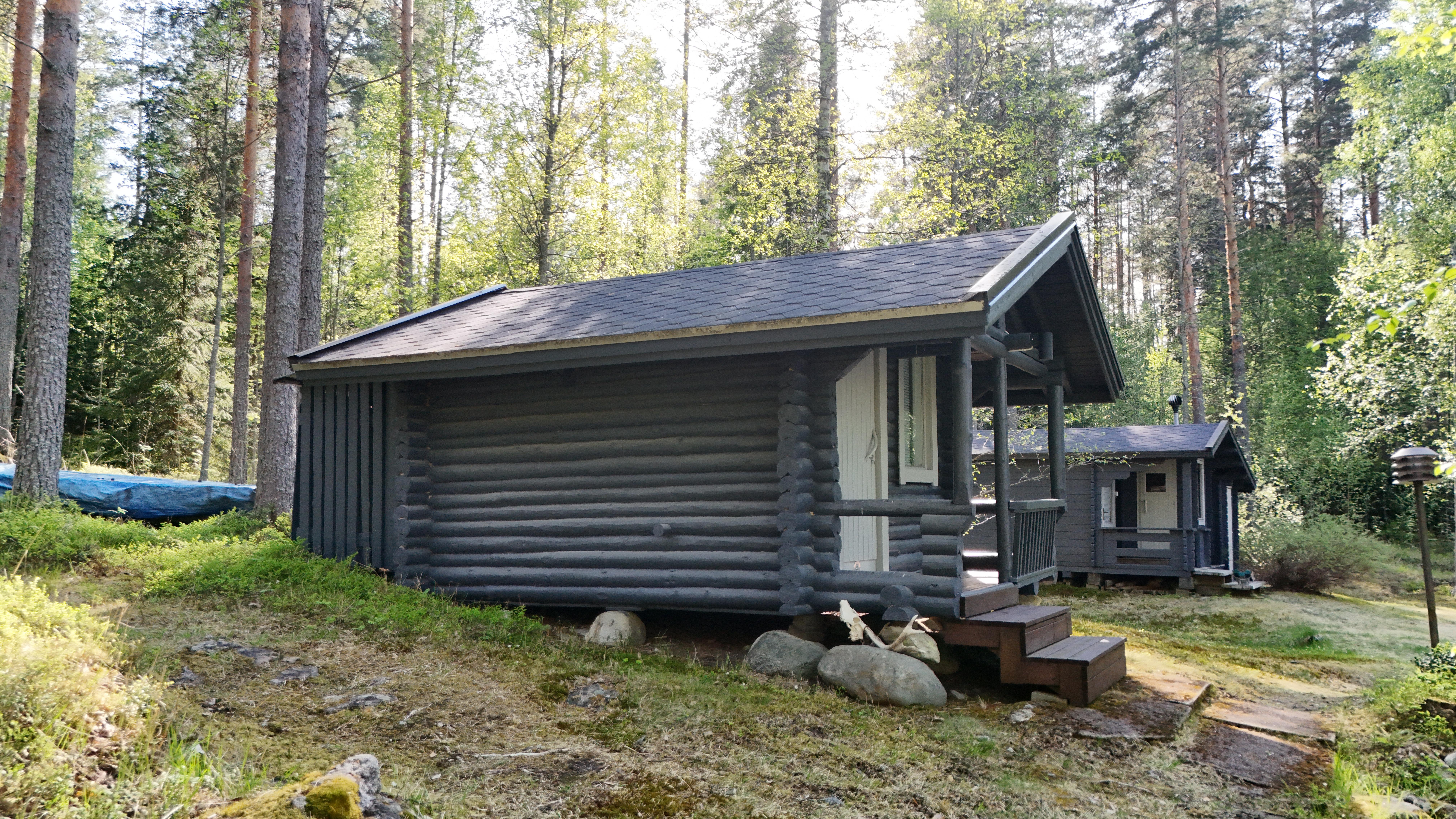 Pitkäsaari 1007, Tiemassaari, Rantasalmi