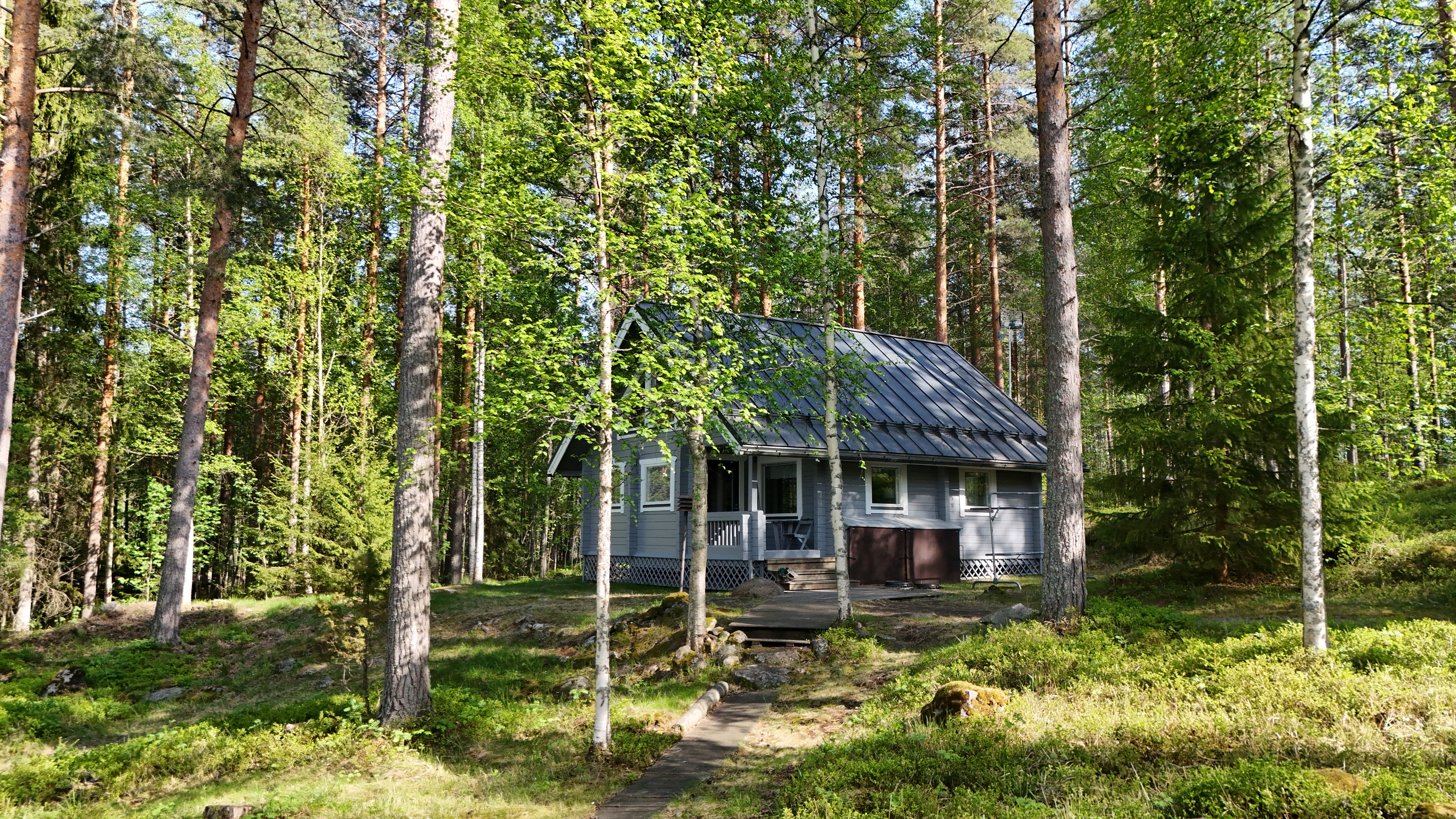 Pitkäsaari 1007, Tiemassaari, Rantasalmi