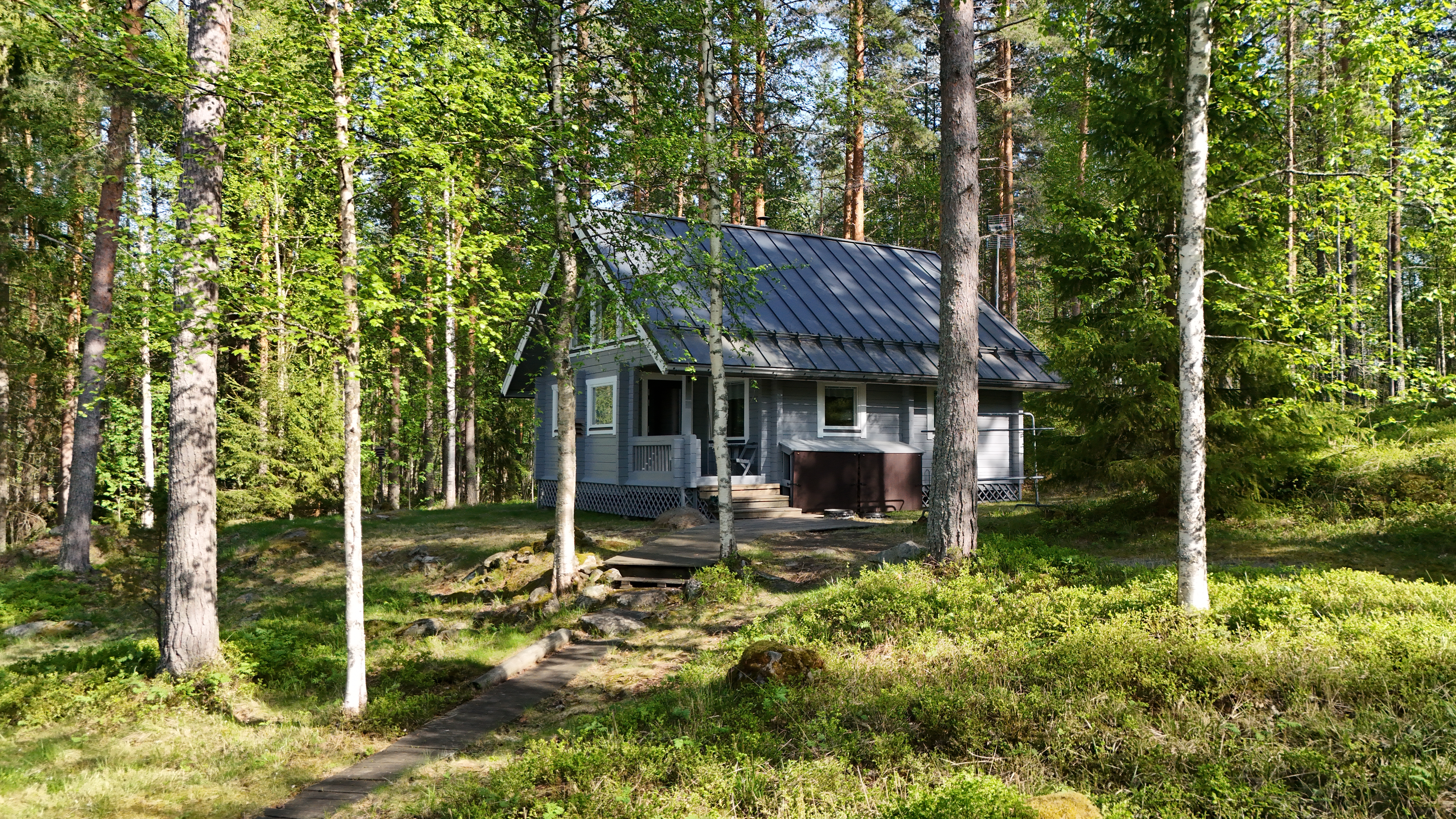 Pitkäsaari 1007, Tiemassaari, Rantasalmi