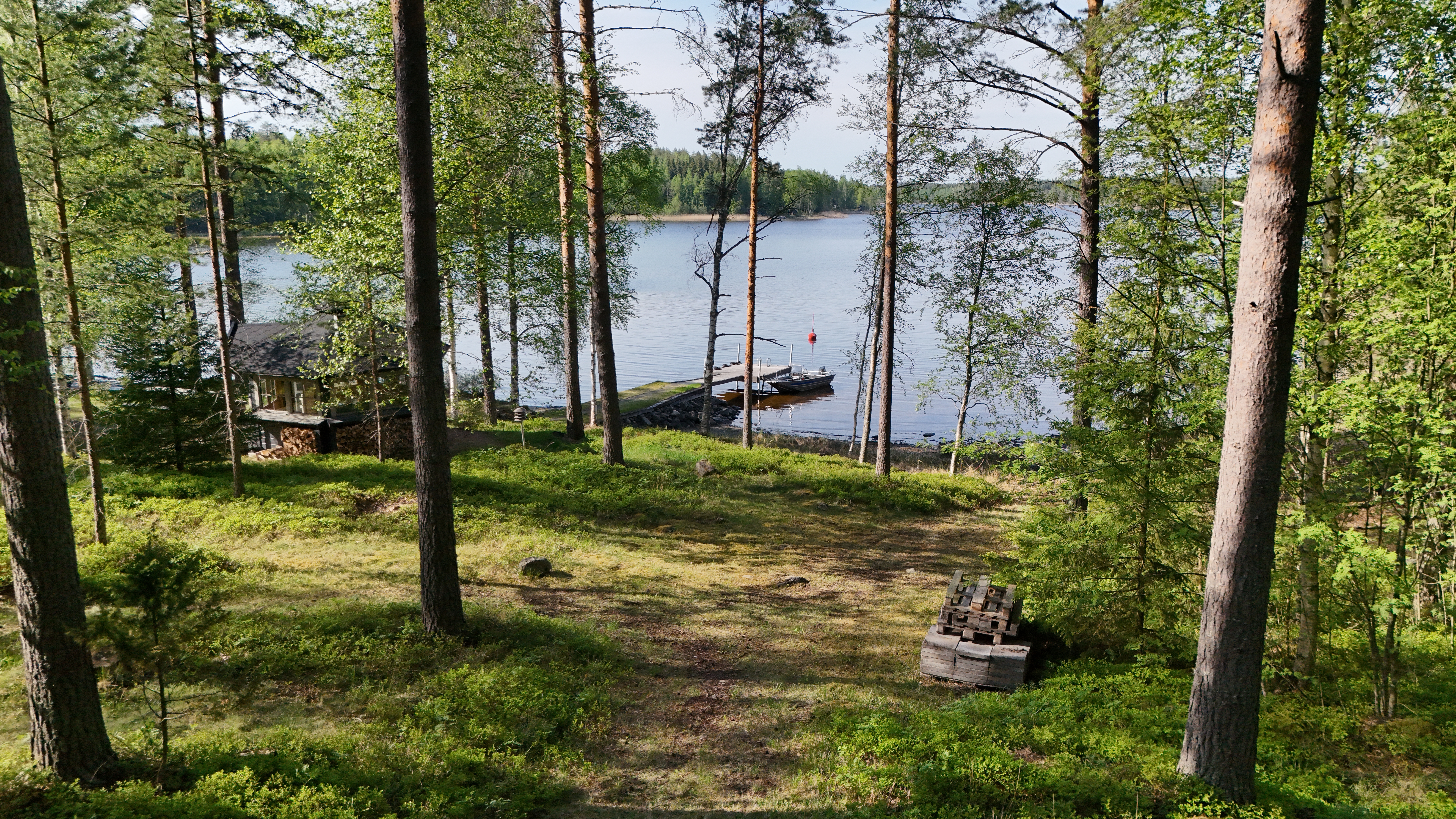 Pitkäsaari 1007, Tiemassaari, Rantasalmi