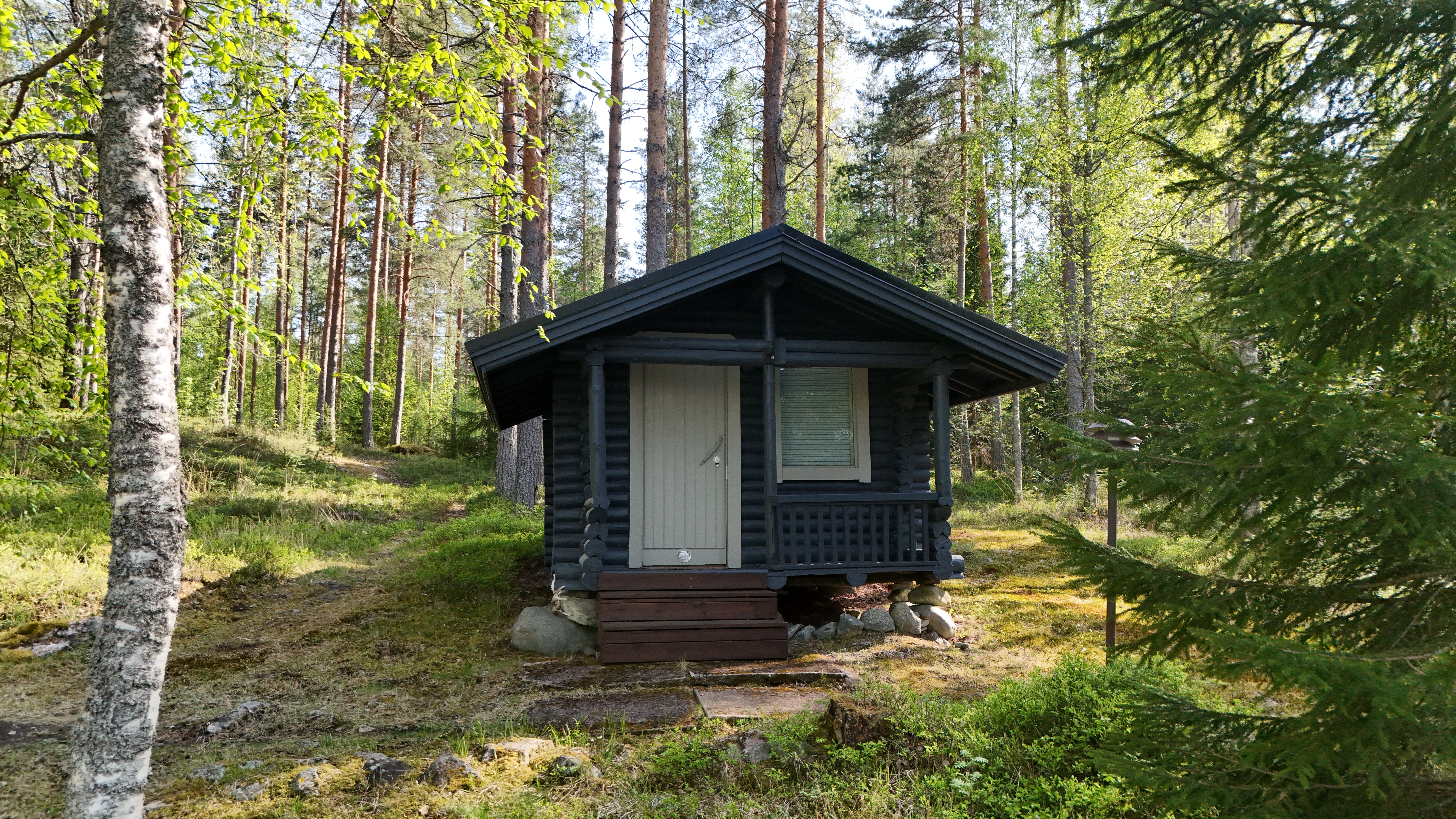 Pitkäsaari 1007, Tiemassaari, Rantasalmi