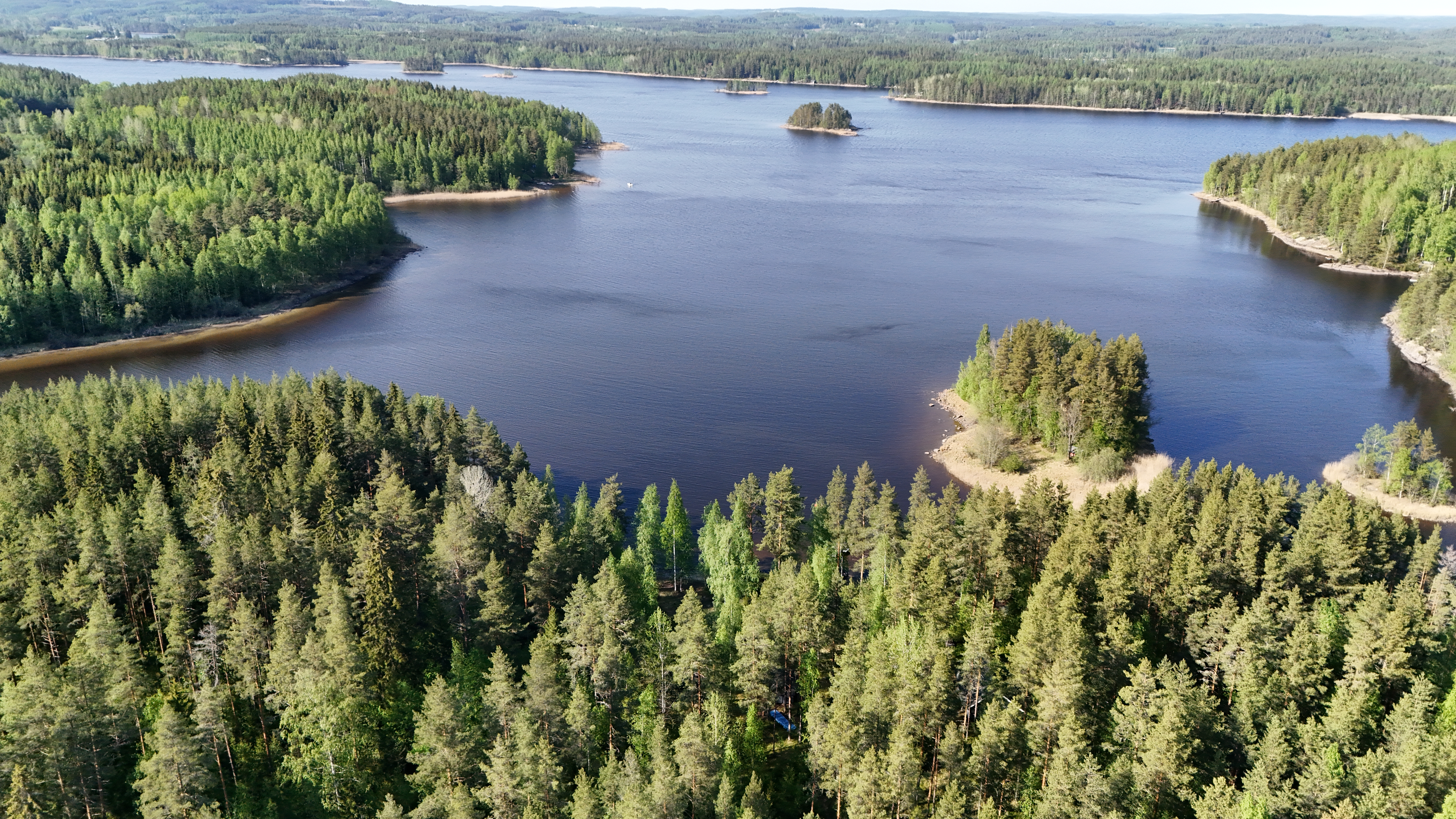 Pitkäsaari 1007, Tiemassaari, Rantasalmi