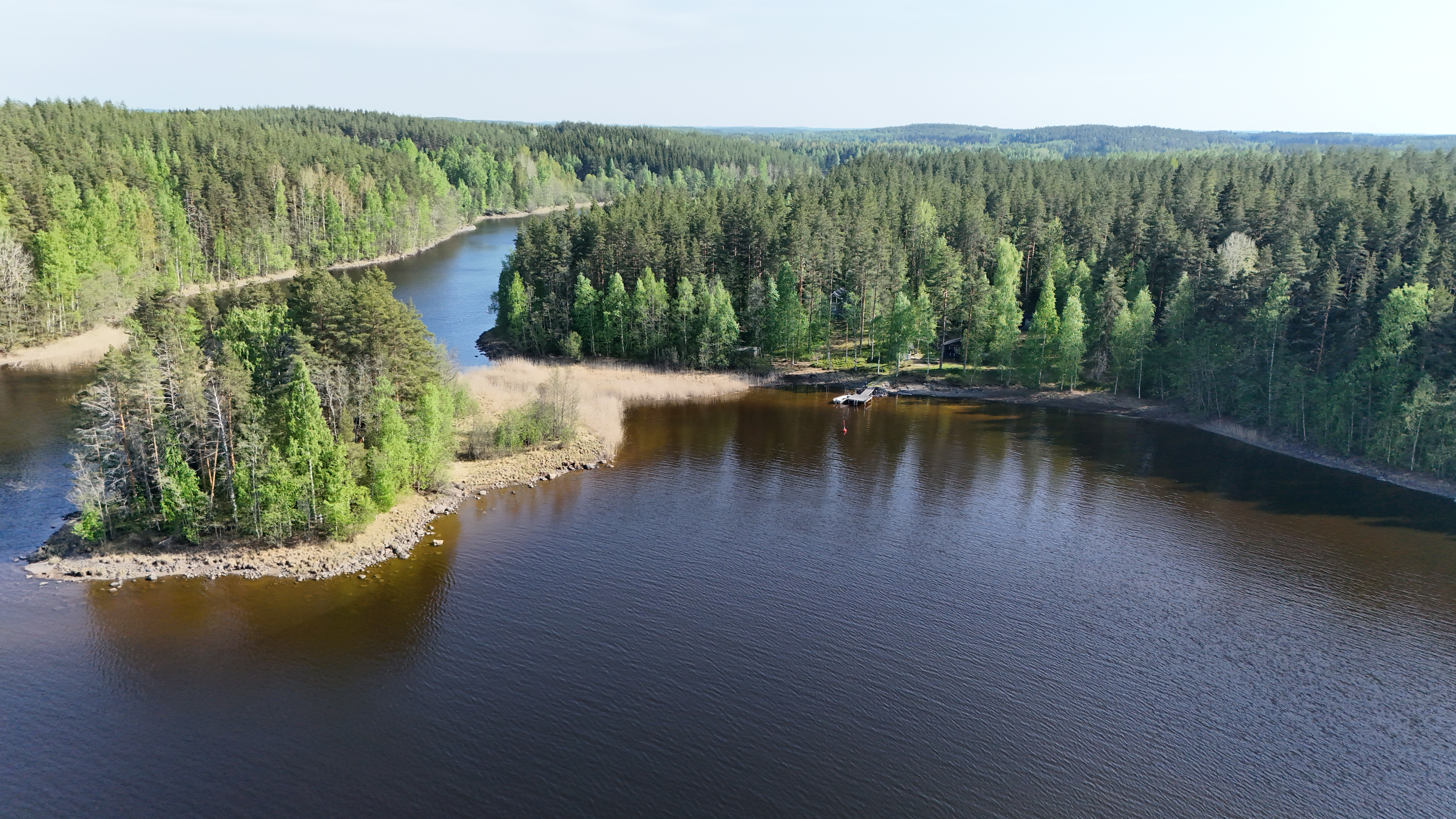 Pitkäsaari 1007, Tiemassaari, Rantasalmi