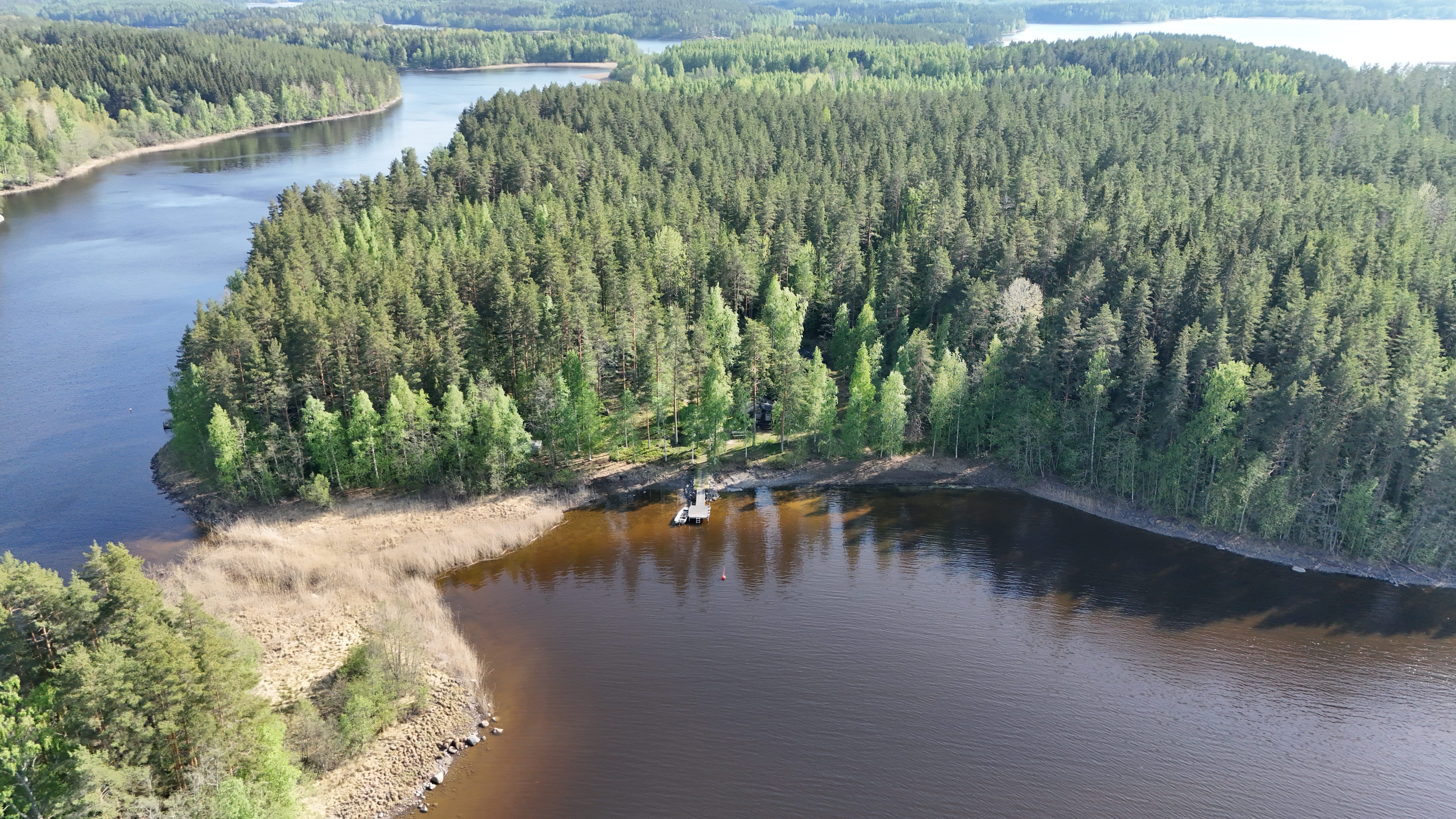 Pitkäsaari 1007, Tiemassaari, Rantasalmi