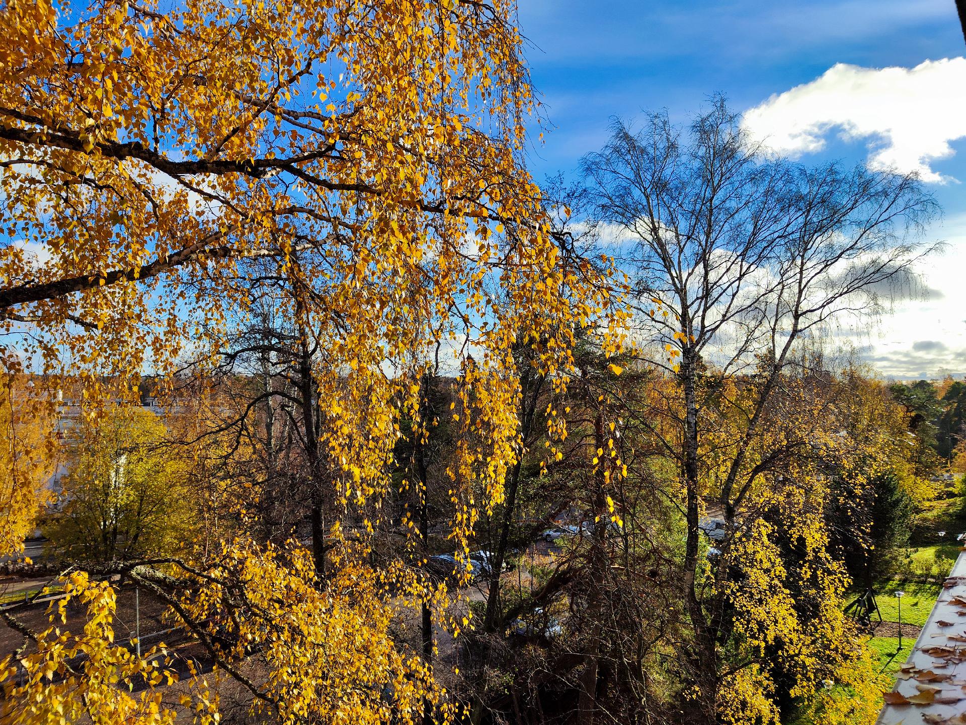 Jussaarenkuja 4, Laajasalo, Helsinki