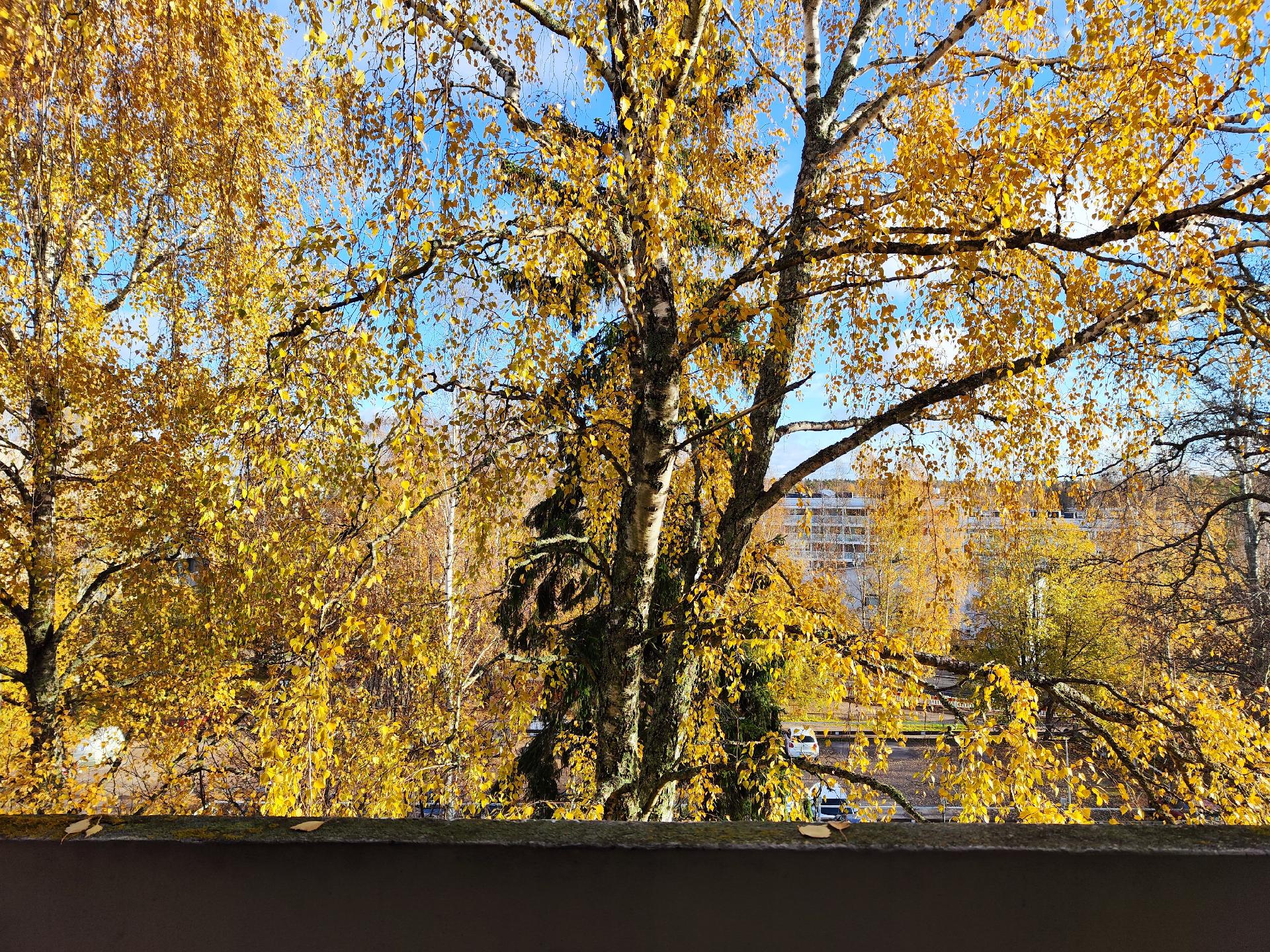 Jussaarenkuja 4, Laajasalo, Helsinki