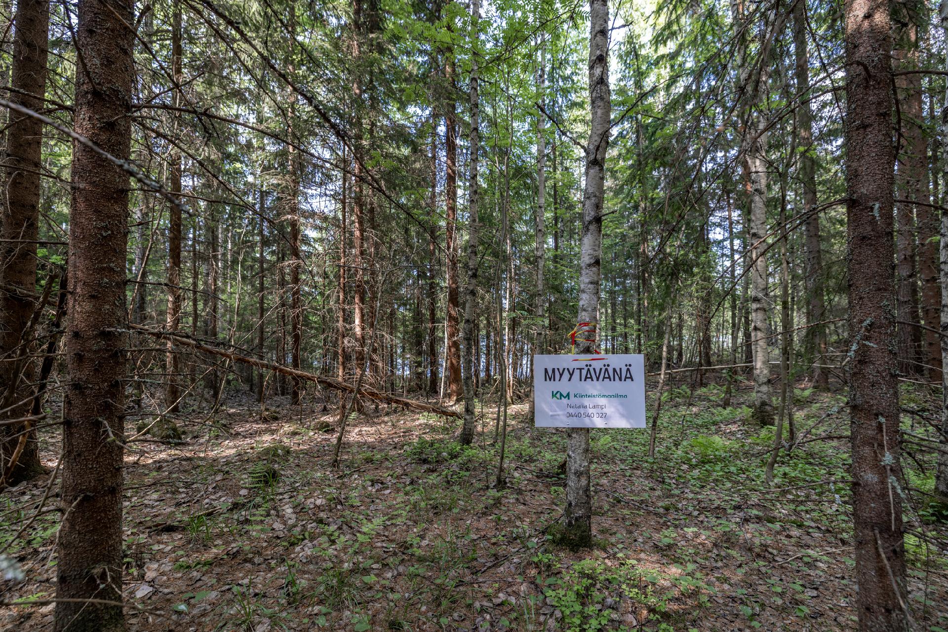 Kaidanniementie - rakennustontti, Mäntyharju