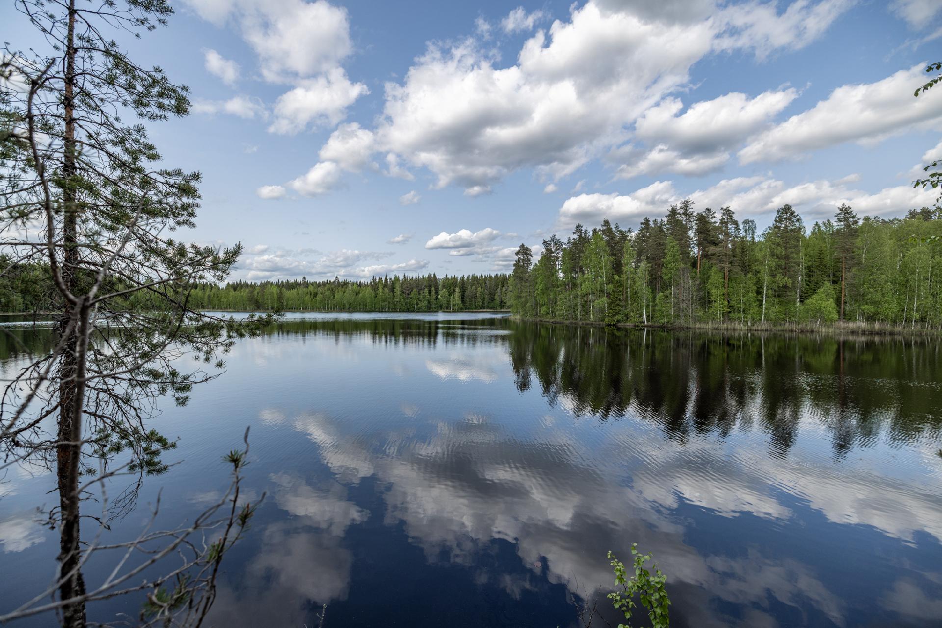 Kaidanniementie - rakennustontti, Mäntyharju